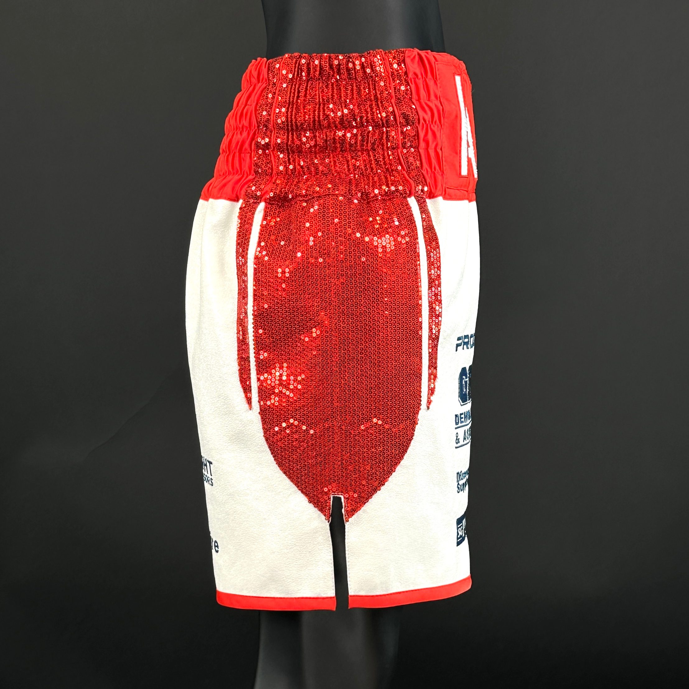 USYK TRIBUTE BX Hannah 168365 Custom Boxing Shorts & Trunks