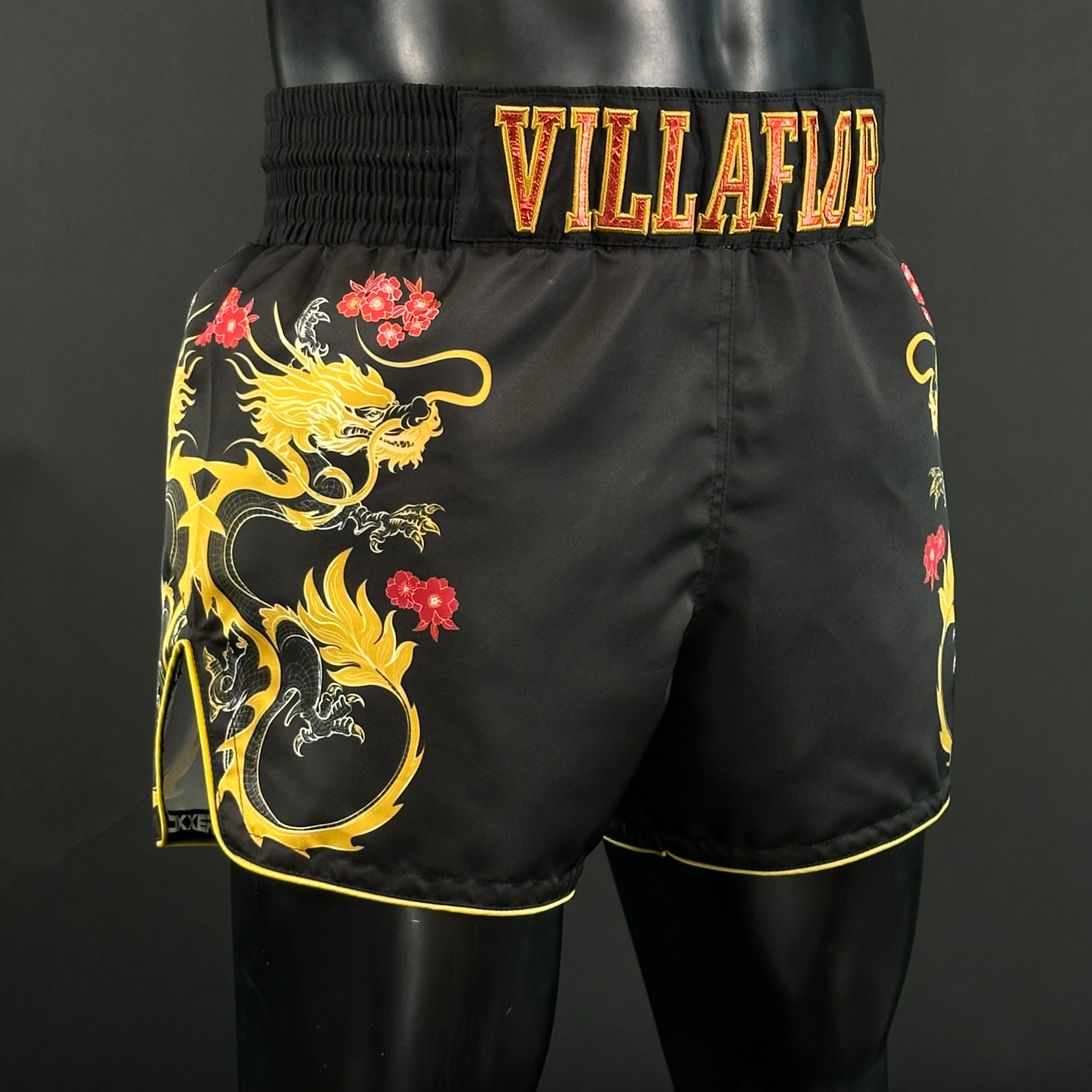 DRAGON MTS Brando 171141 Muay Thai Shorts