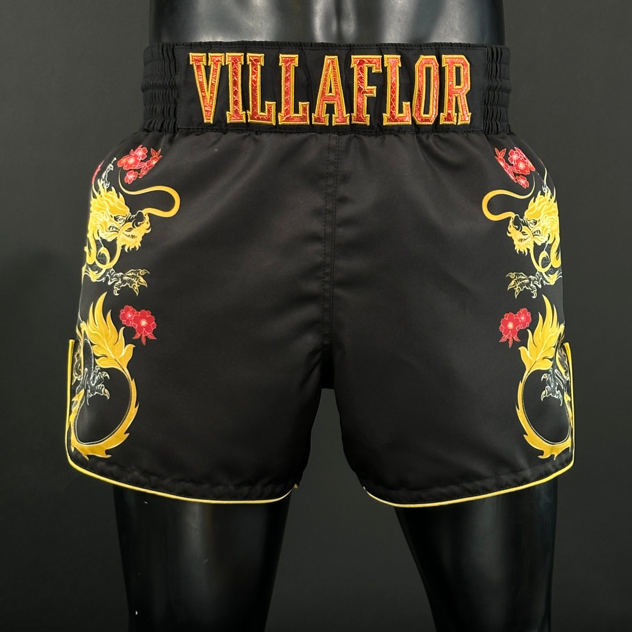 DRAGON MTS Brando 171141 Muay Thai Shorts