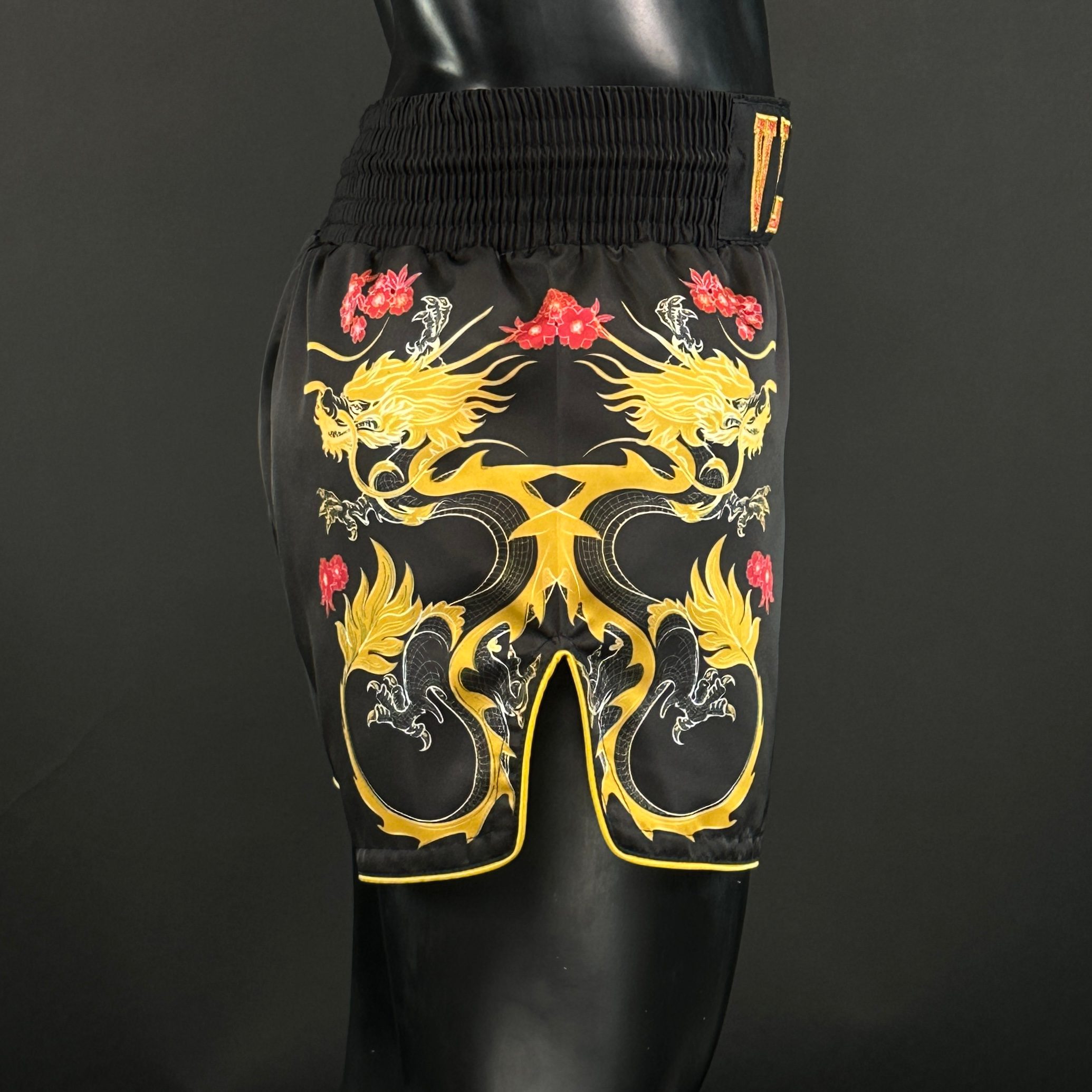 DRAGON MTS Brando 171141 Muay Thai Shorts