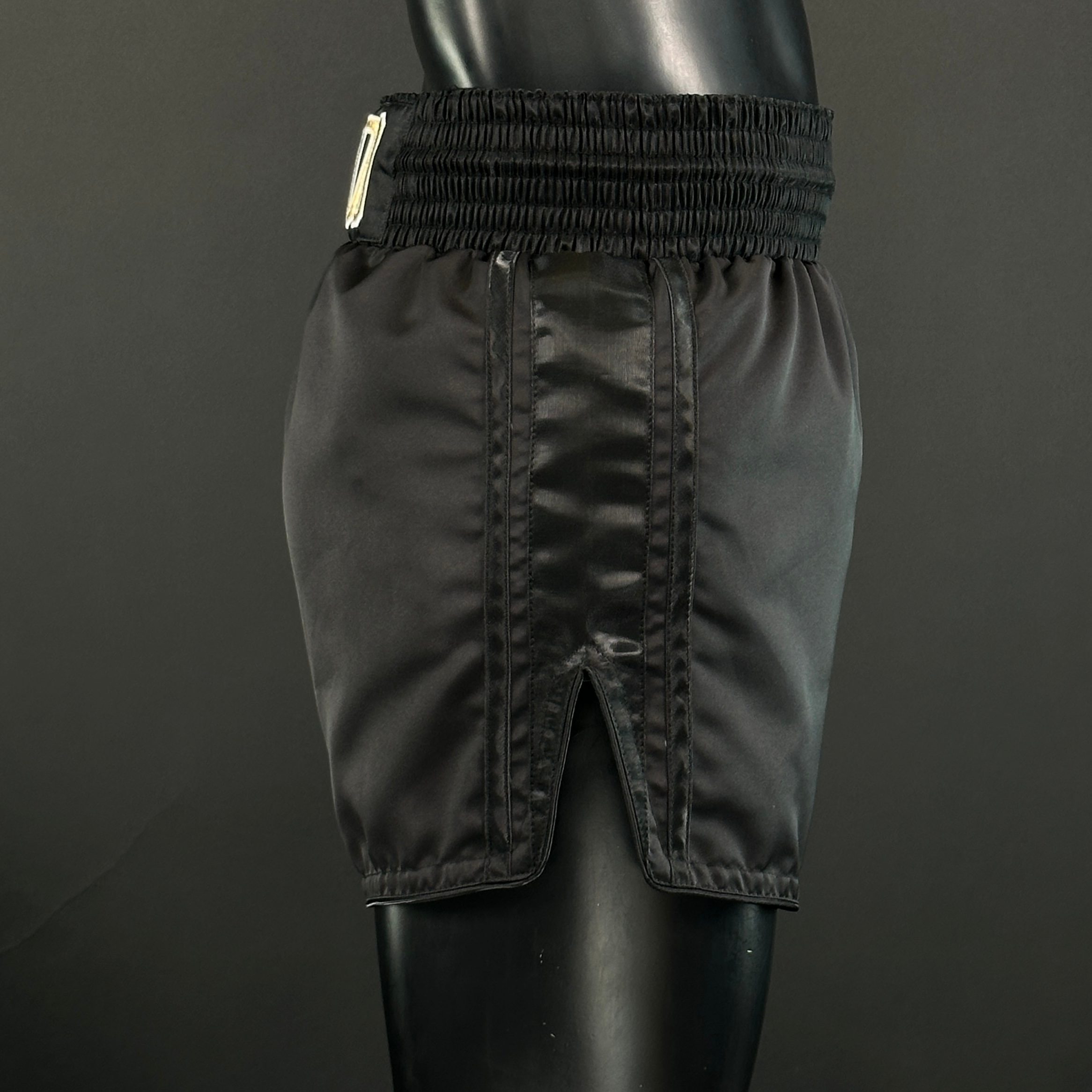 WINNER MTS Andy 170296 Muay Thai Shorts