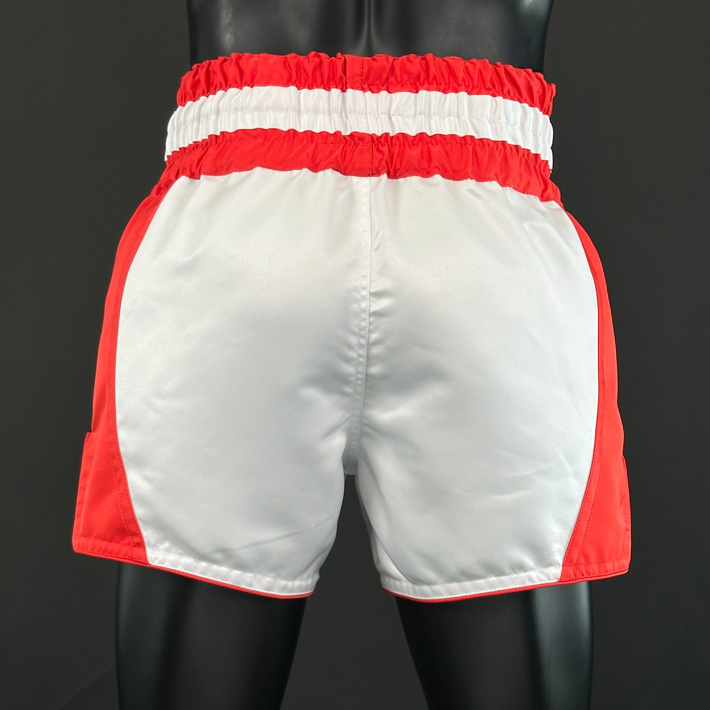 DREAM MTS Ashton 170283 Muay Thai Shorts