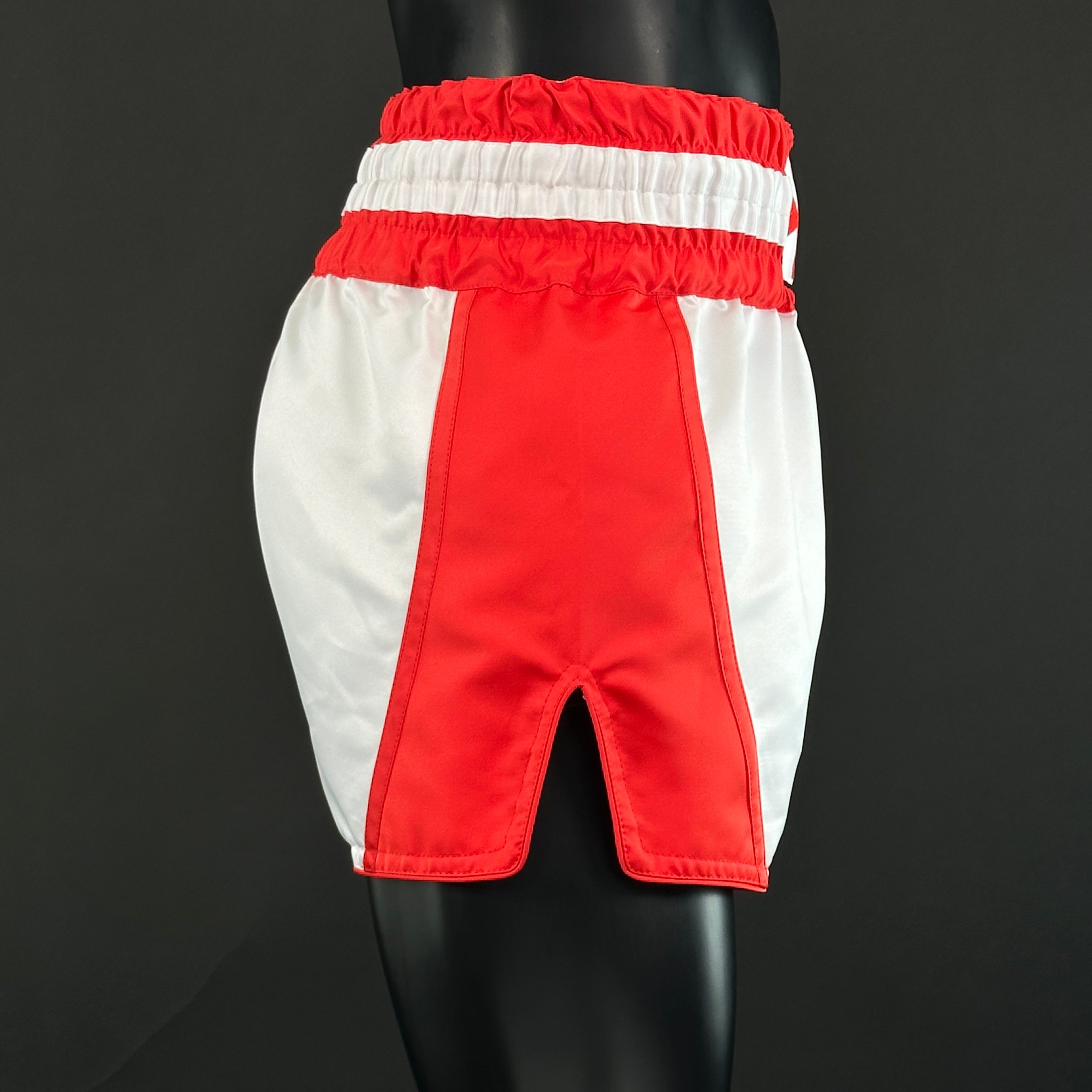 DREAM MTS Ashton 170283 Muay Thai Shorts