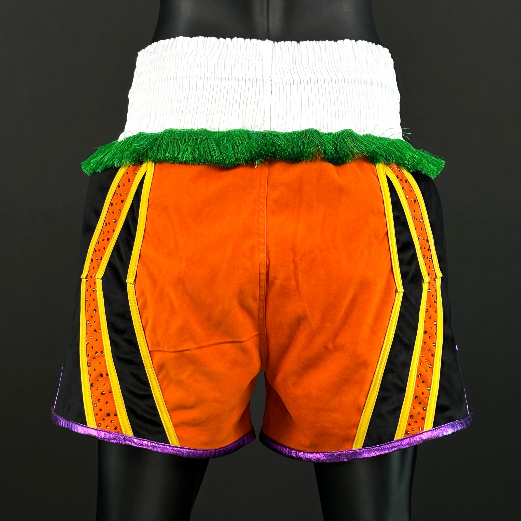 CHAMPION BX Floyd 168832 Custom Boxing Shorts & Trunks