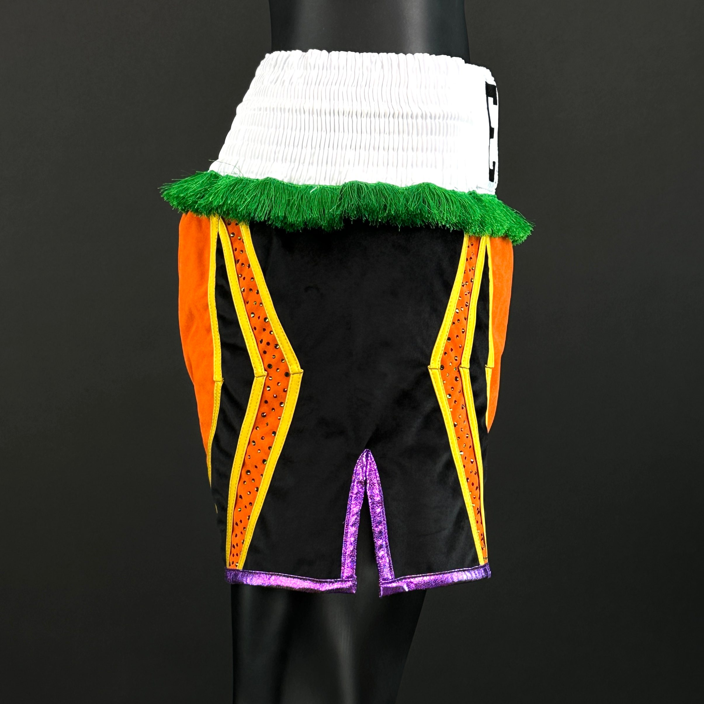 CHAMPION BX Floyd 168832 Custom Boxing Shorts & Trunks