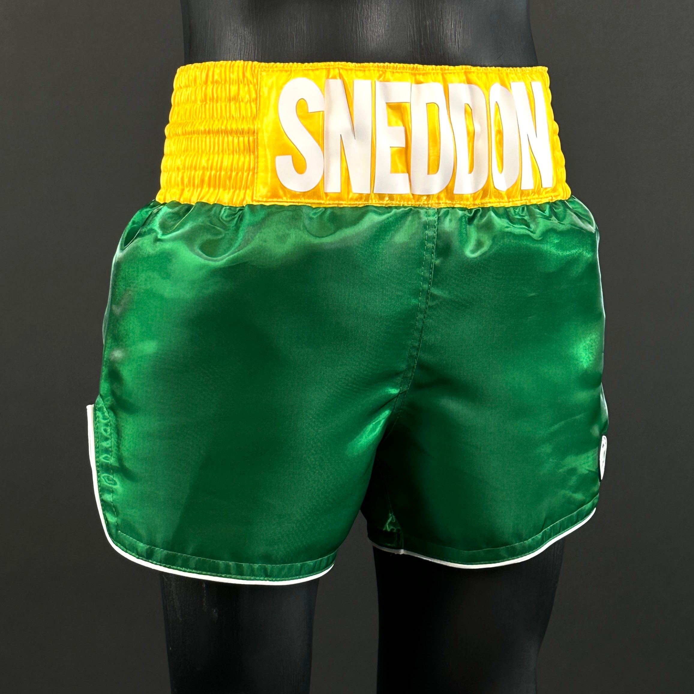Classic MTS Aiden 170915 Muay Thai Shorts