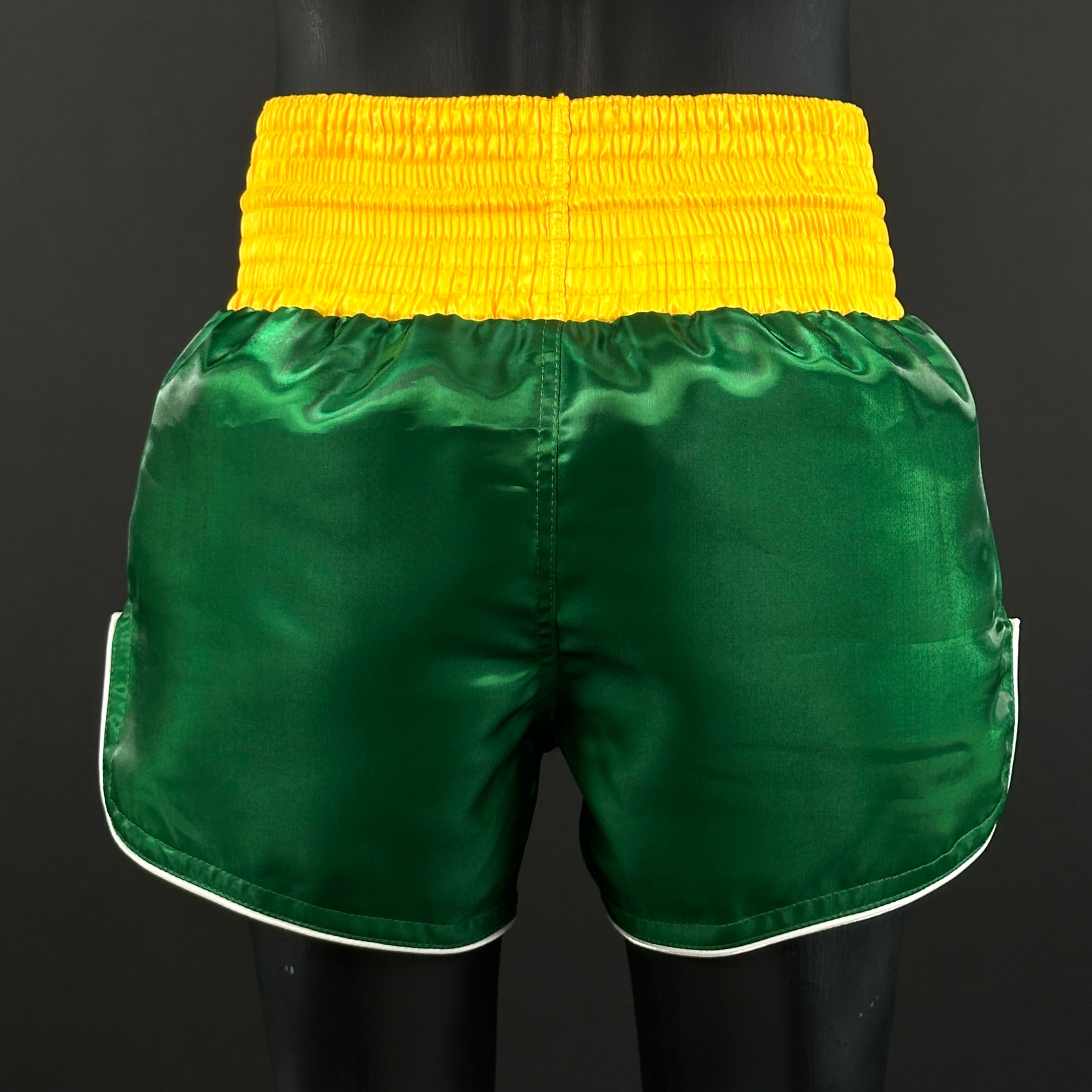 Classic MTS Aiden 170915 Muay Thai Shorts