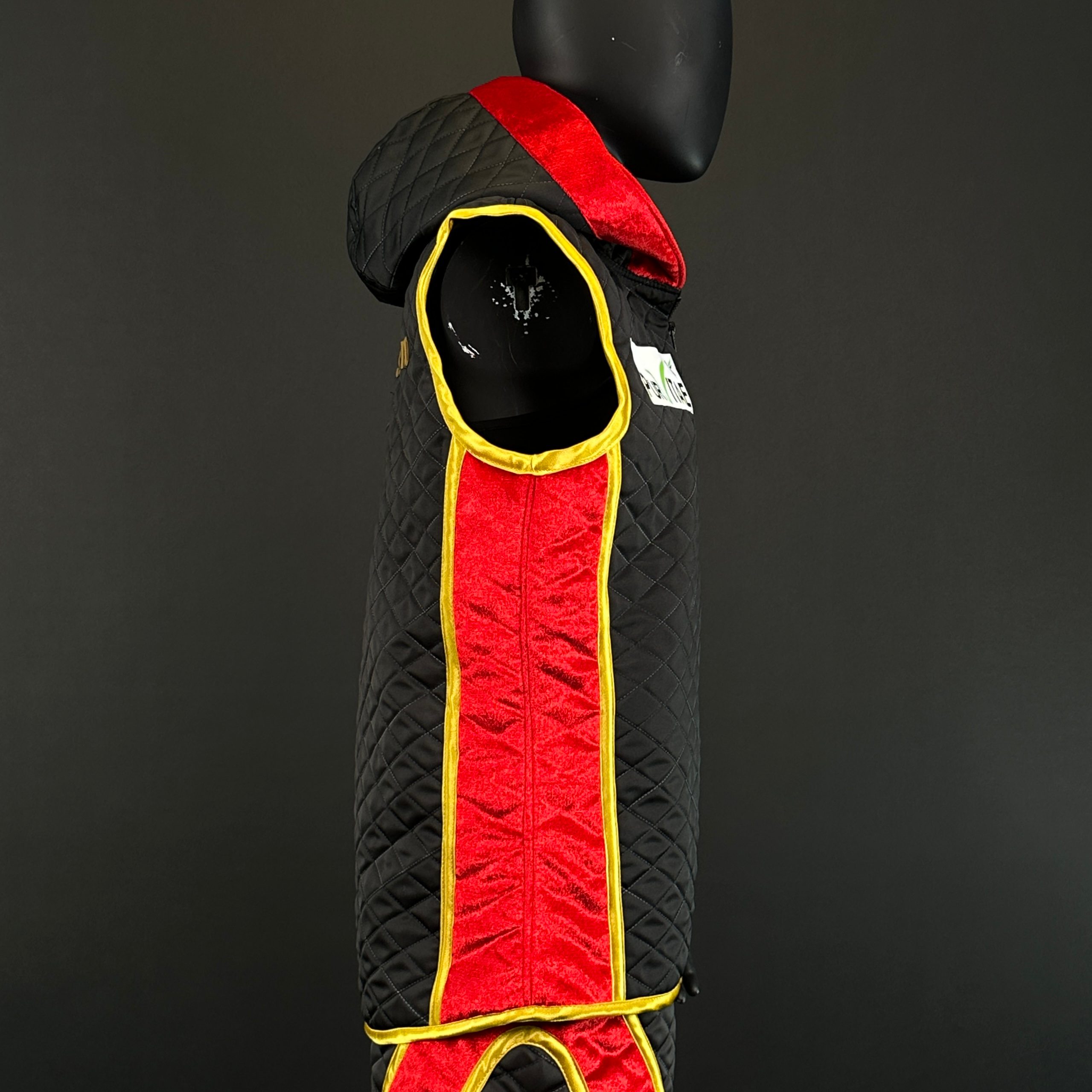 Side Stripes  Jacket  Émilie 170781 Jackets