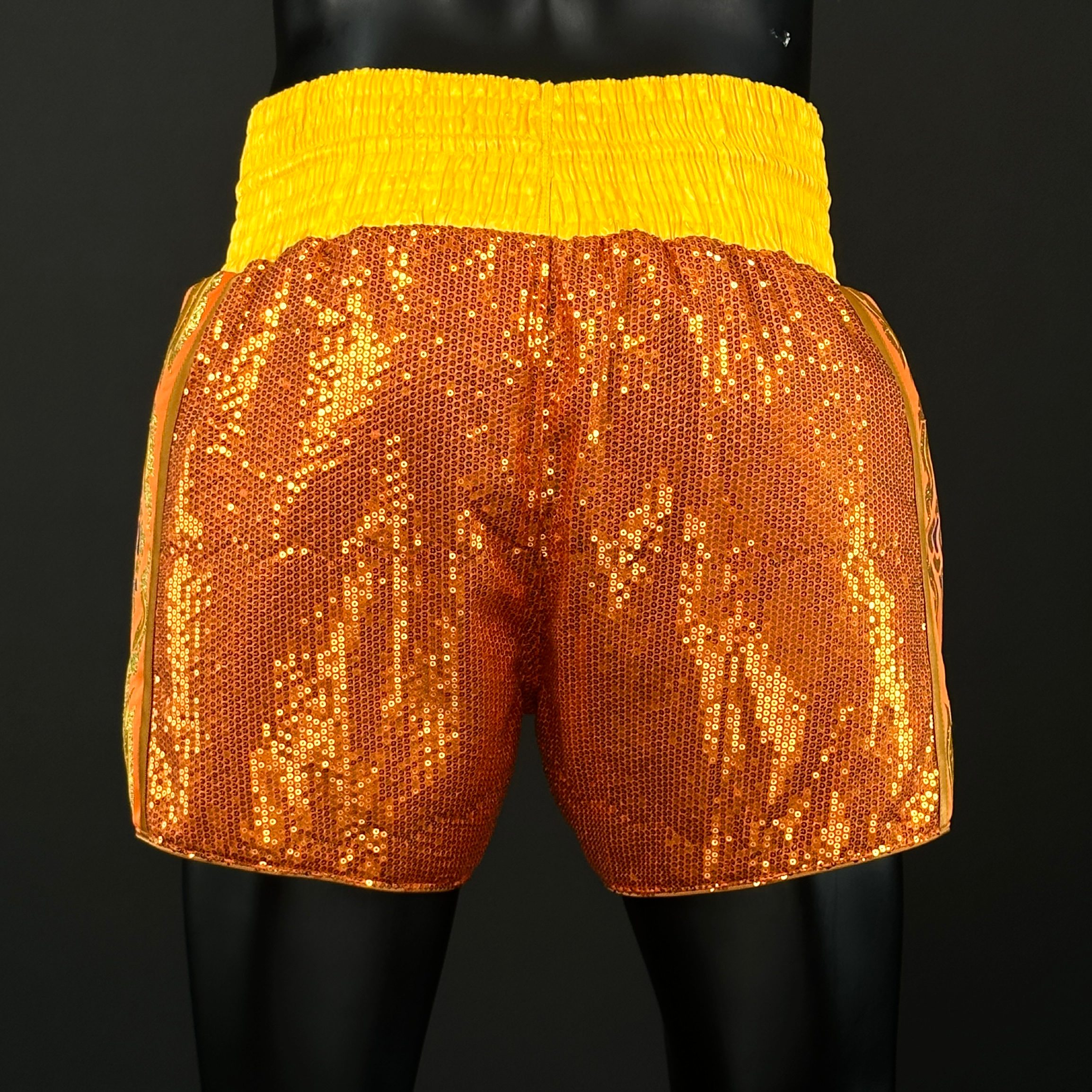 One Champ MTS Sam 171312 Muay Thai Shorts