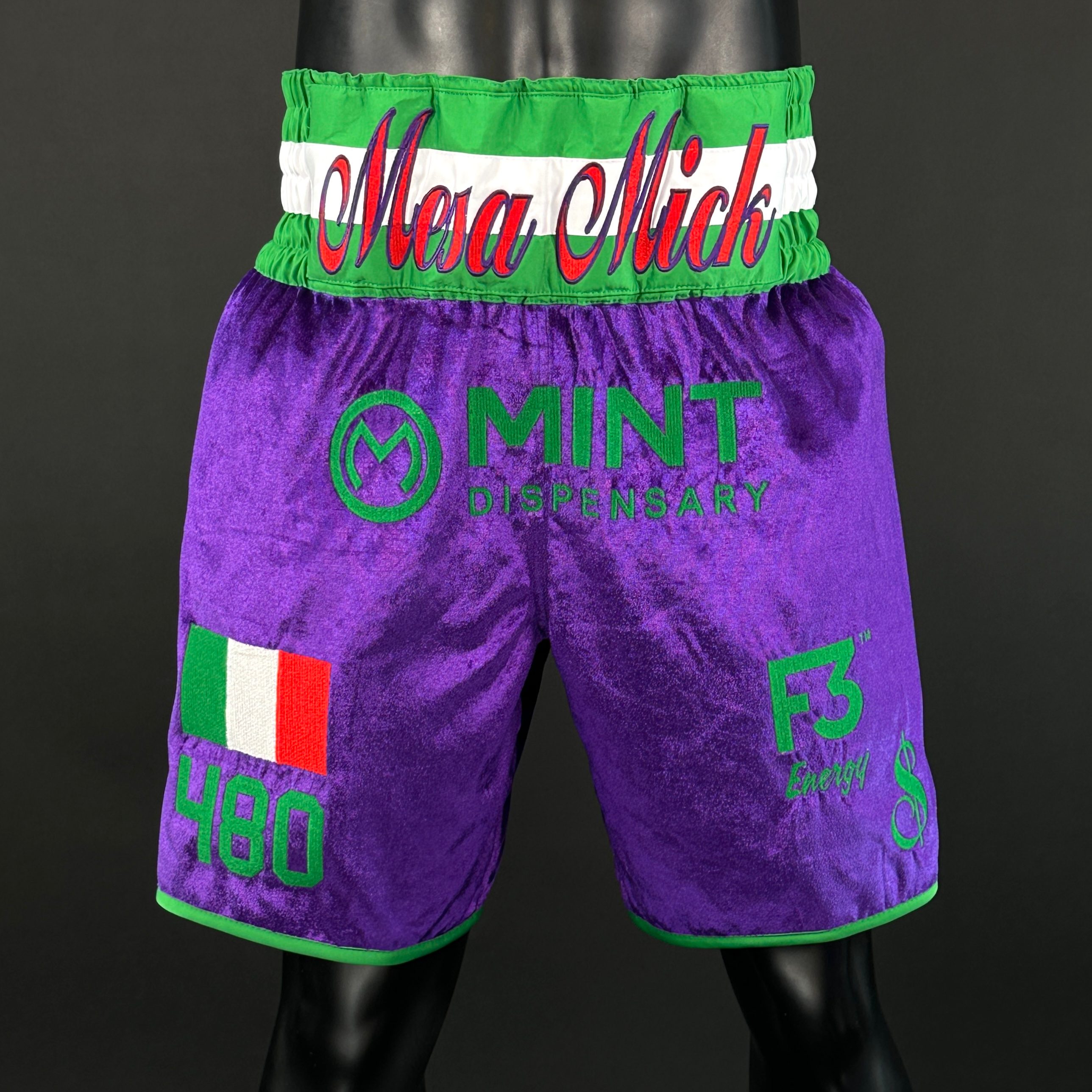 Valentino BX Micky 171120 Custom Boxing Shorts & Trunks