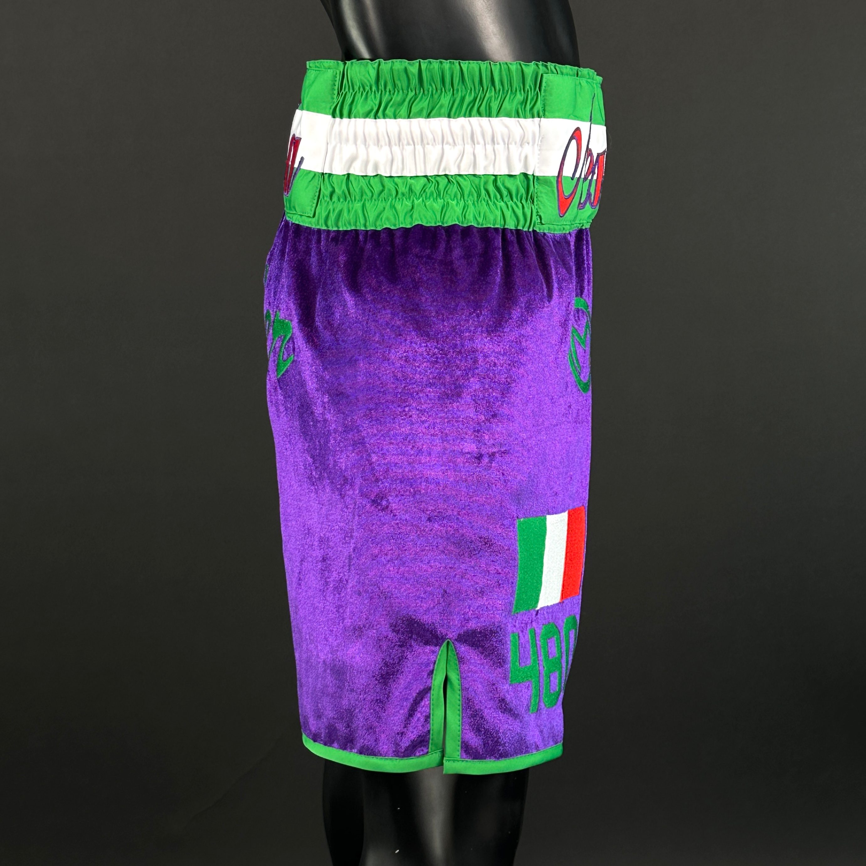 Valentino BX Micky 171120 Custom Boxing Shorts & Trunks