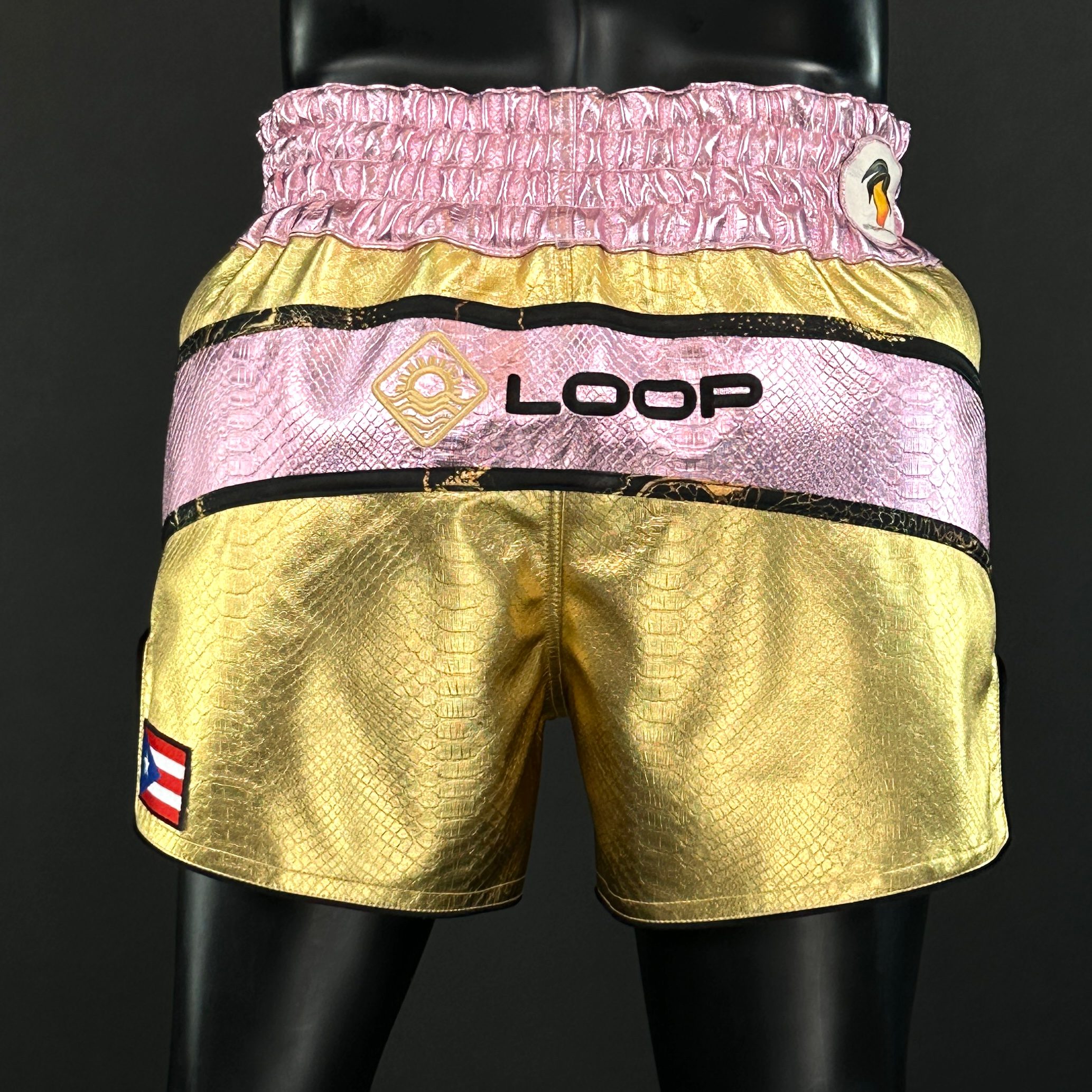 Comet MTS Fernando 171772 Muay Thai Shorts