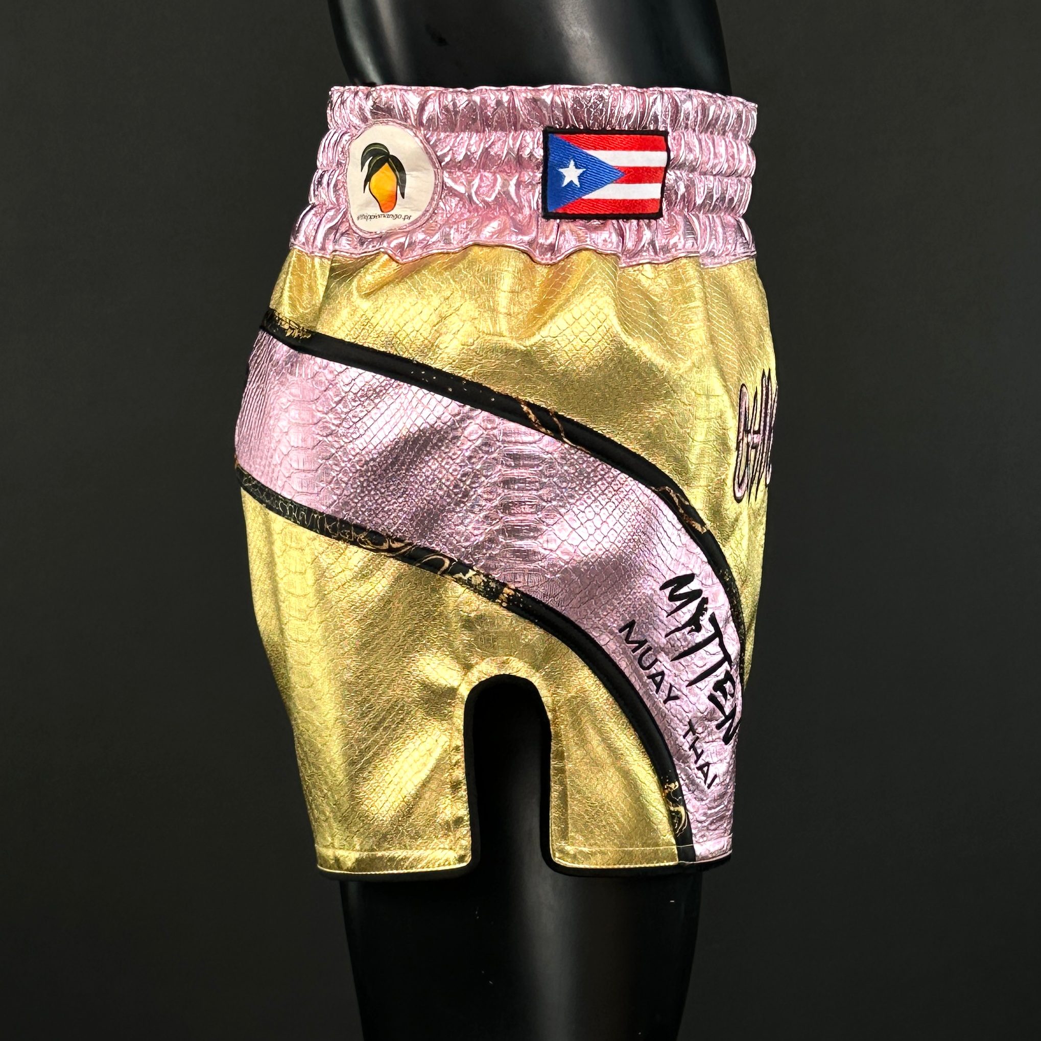 Comet MTS Fernando 171772 Muay Thai Shorts