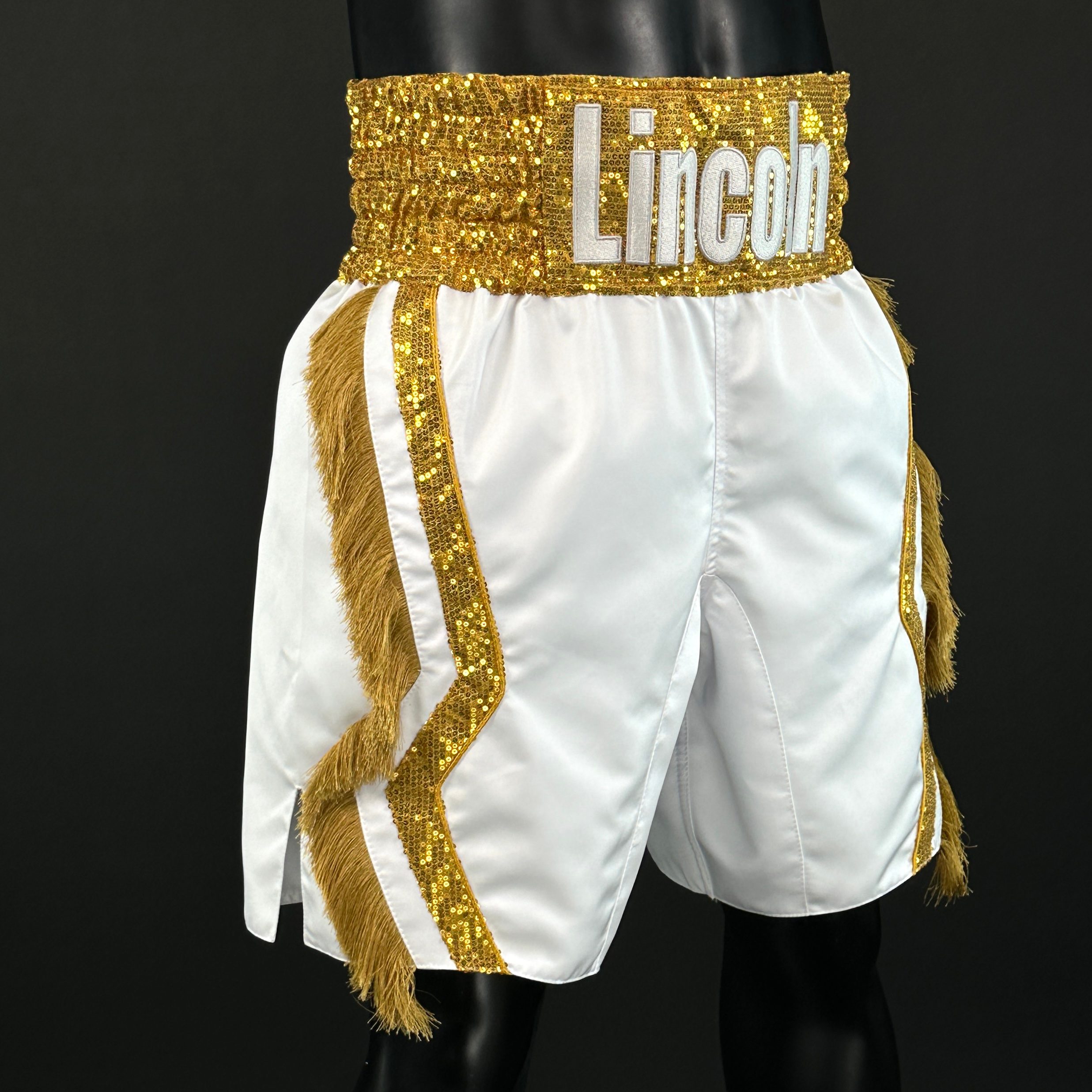 Motorcross BX Lincoln 172177 Custom Boxing Shorts & Trunks