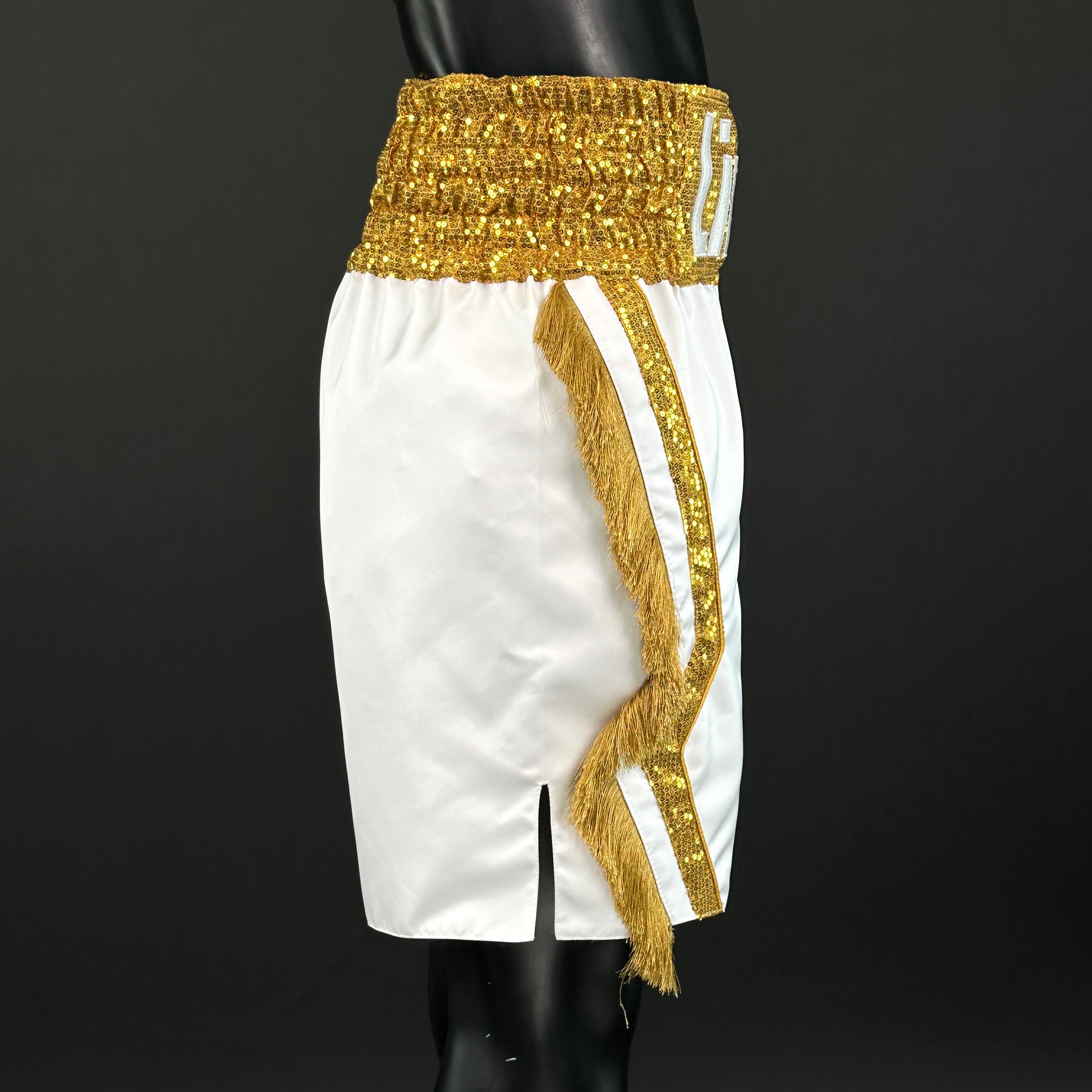 Motorcross BX Lincoln 172177 Custom Boxing Shorts & Trunks