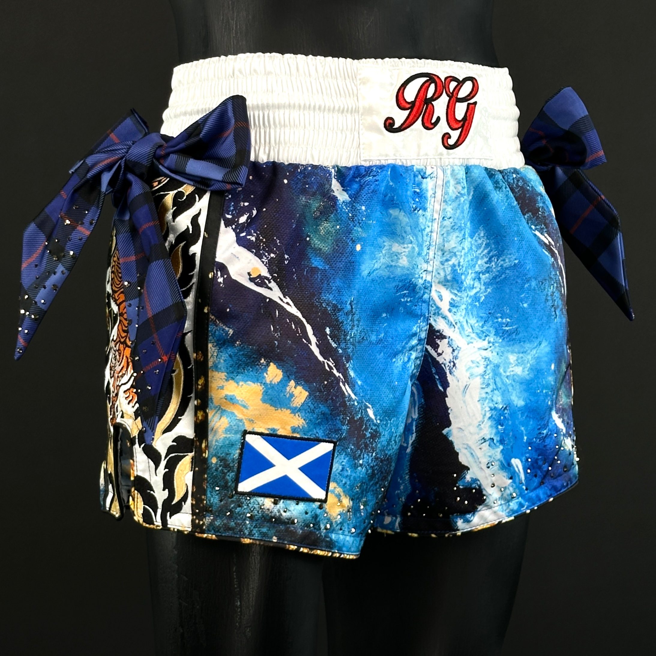 Royal Tiger MTS Ryan 172684 Muay Thai Shorts