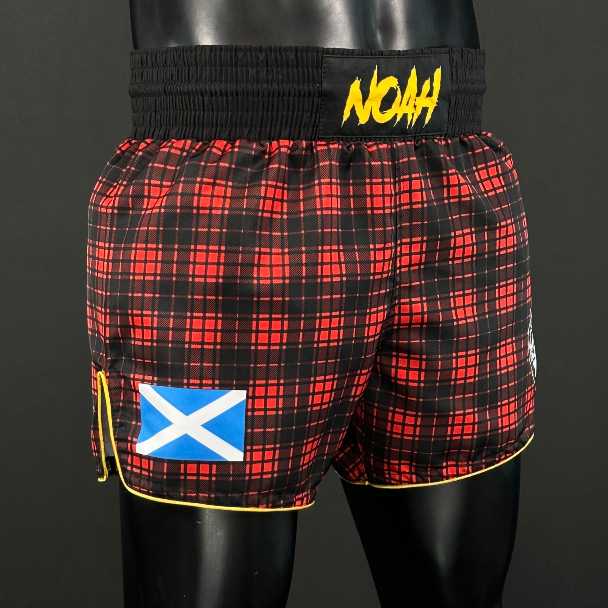 Classic MTS Noah 172805 Muay Thai Shorts