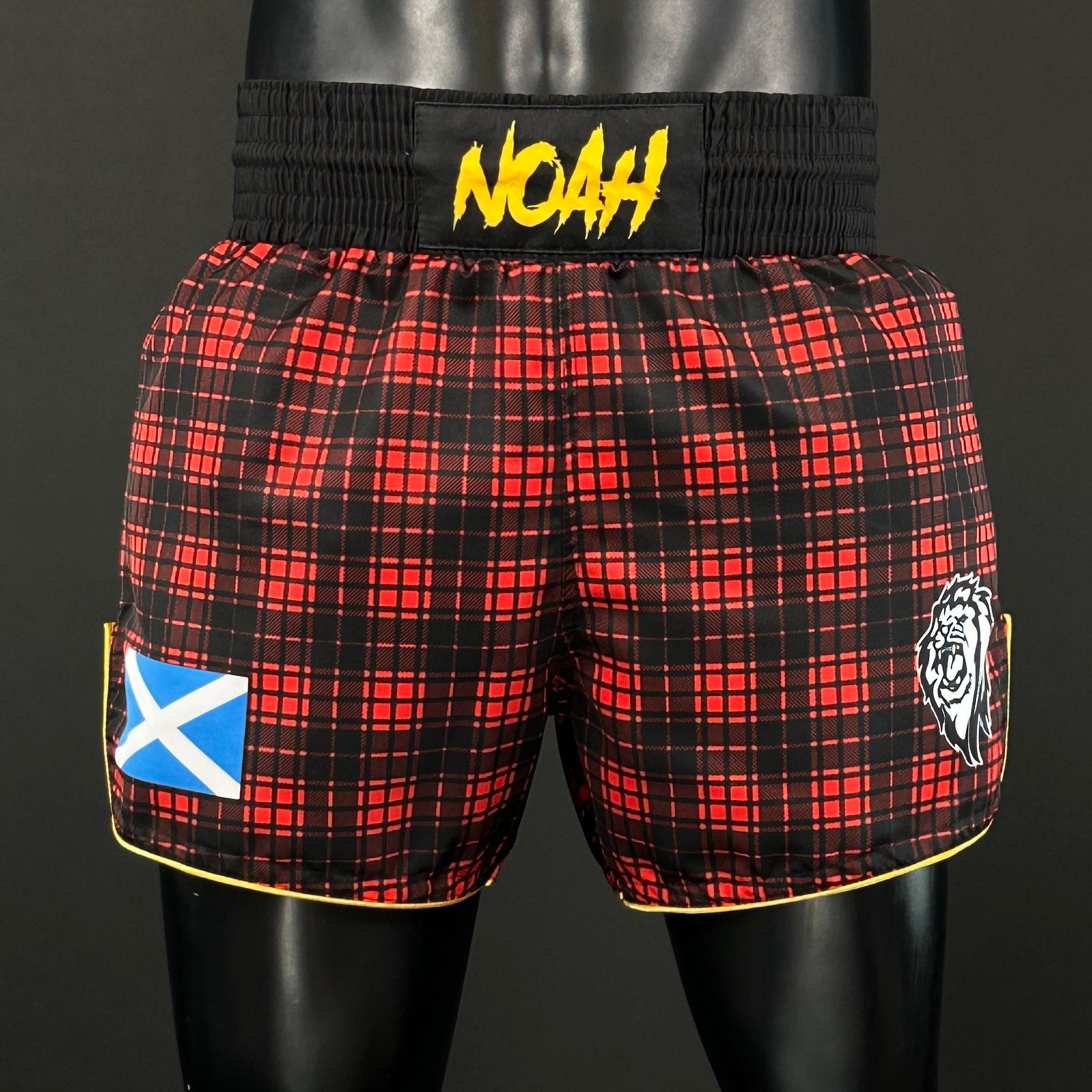Classic MTS Noah 172805 Muay Thai Shorts