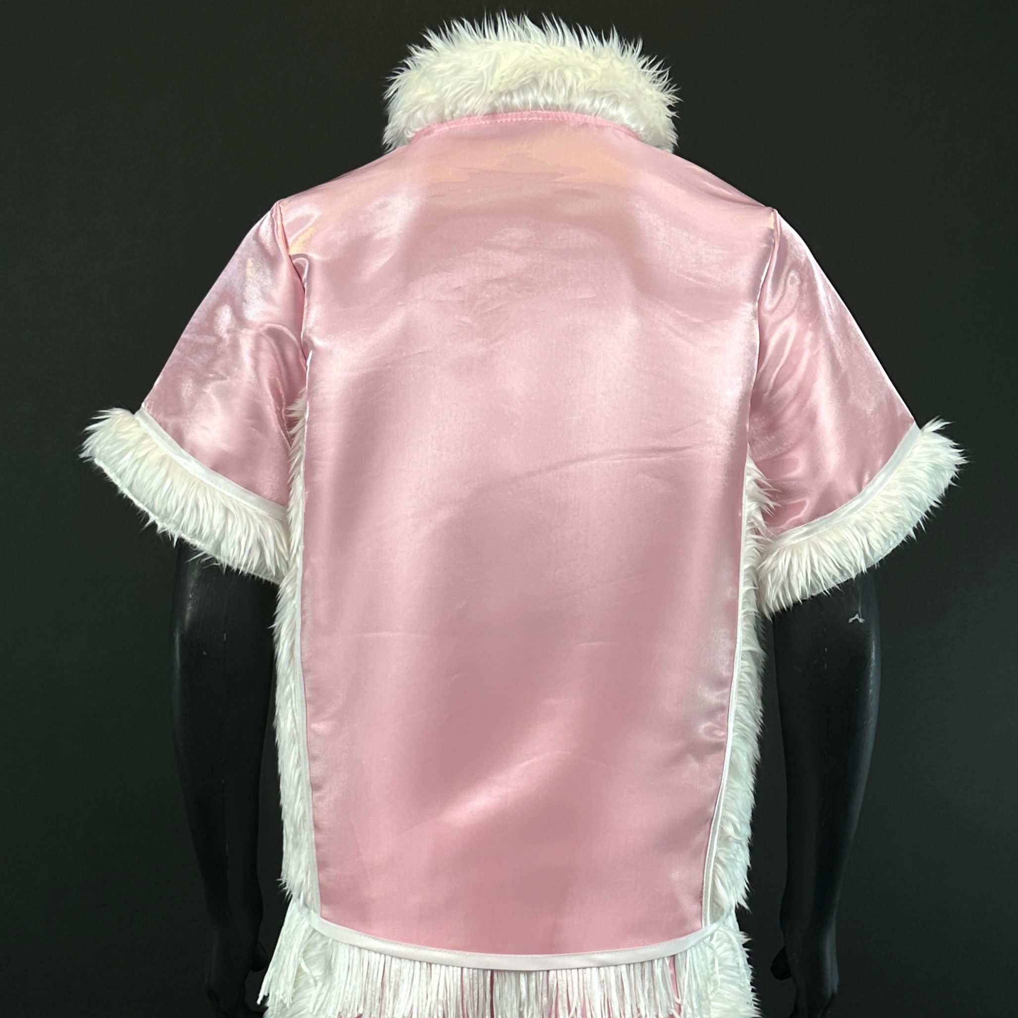 Side Stripes  Jacket  Ervin 171781 Jackets