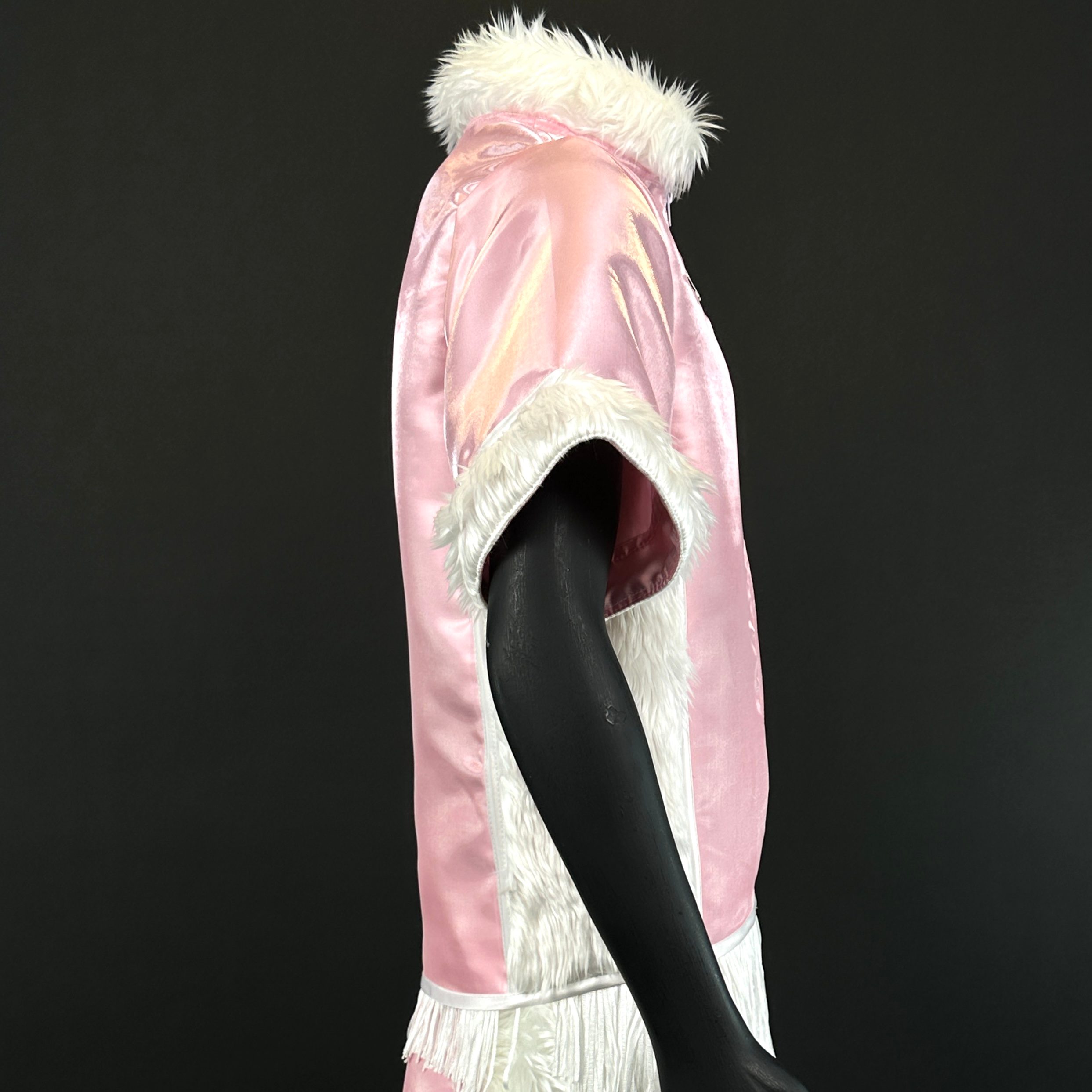 Side Stripes  Jacket  Ervin 171781 Jackets