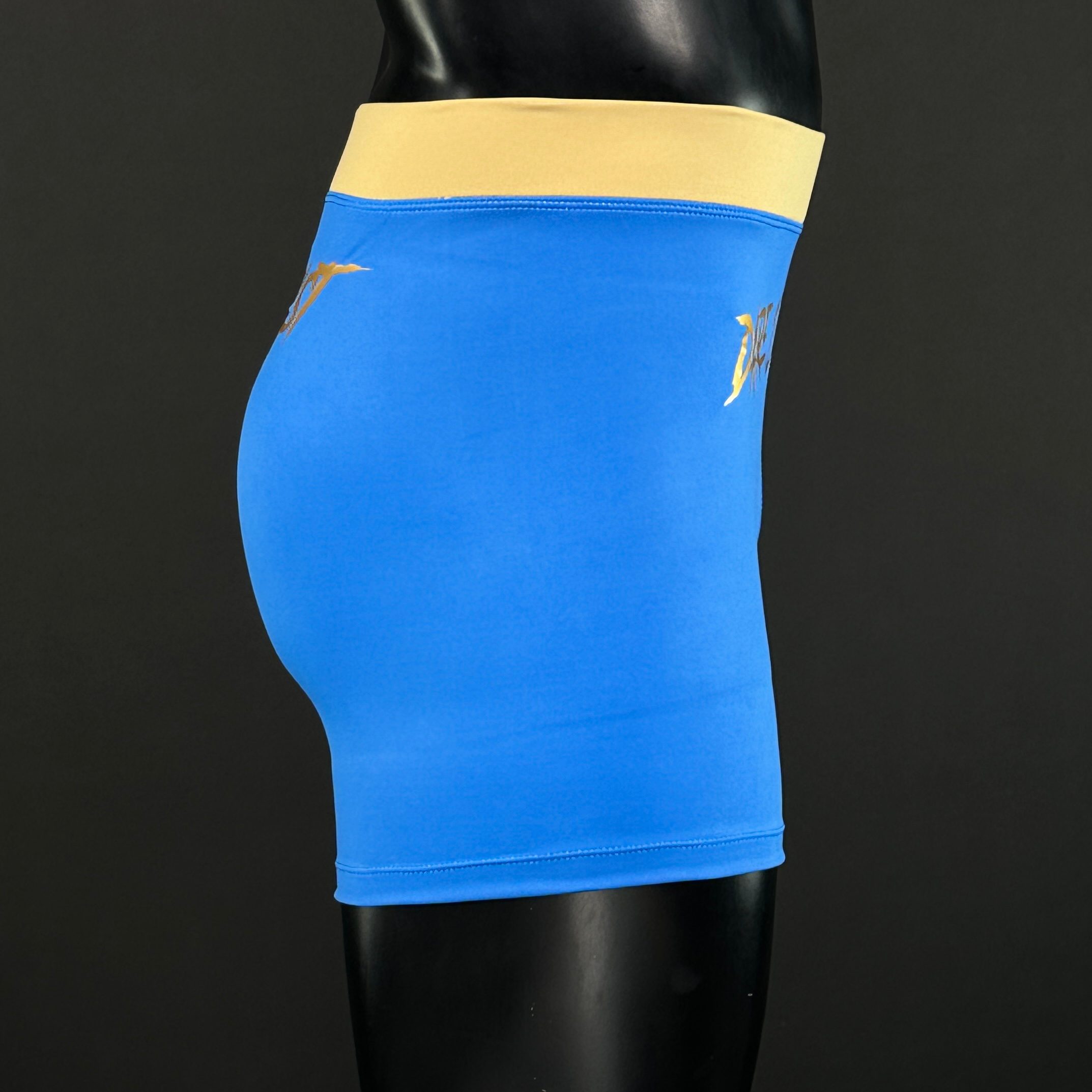 Classic Vale Tudo MMA Noah 171634 MMA Shorts