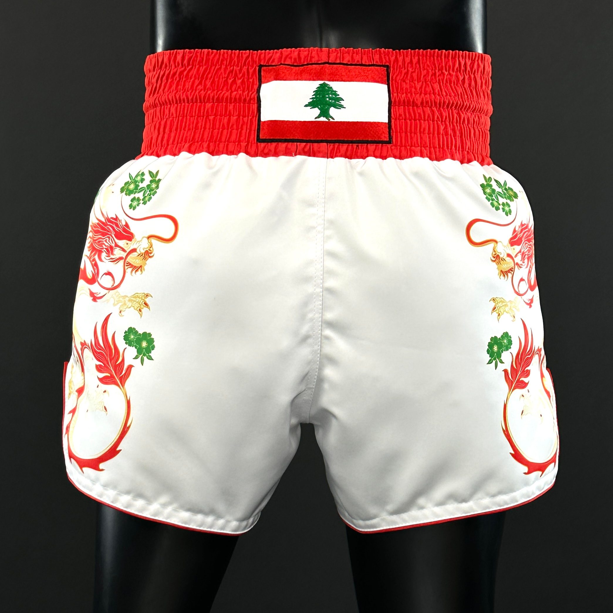 DRAGON MTS Jade 171692 Muay Thai Shorts