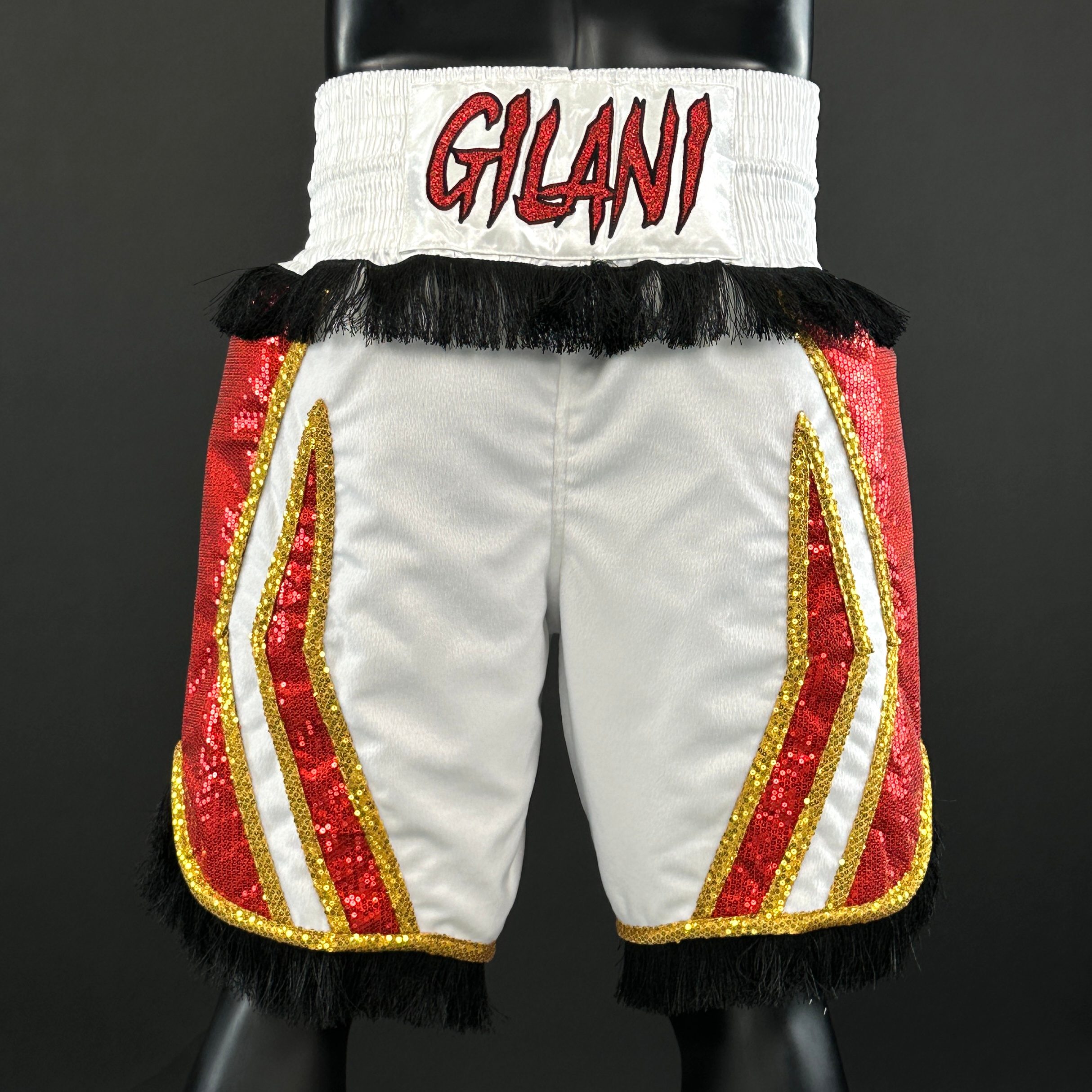 CHAMPION BX Ahmed 173142 Custom Boxing Shorts & Trunks