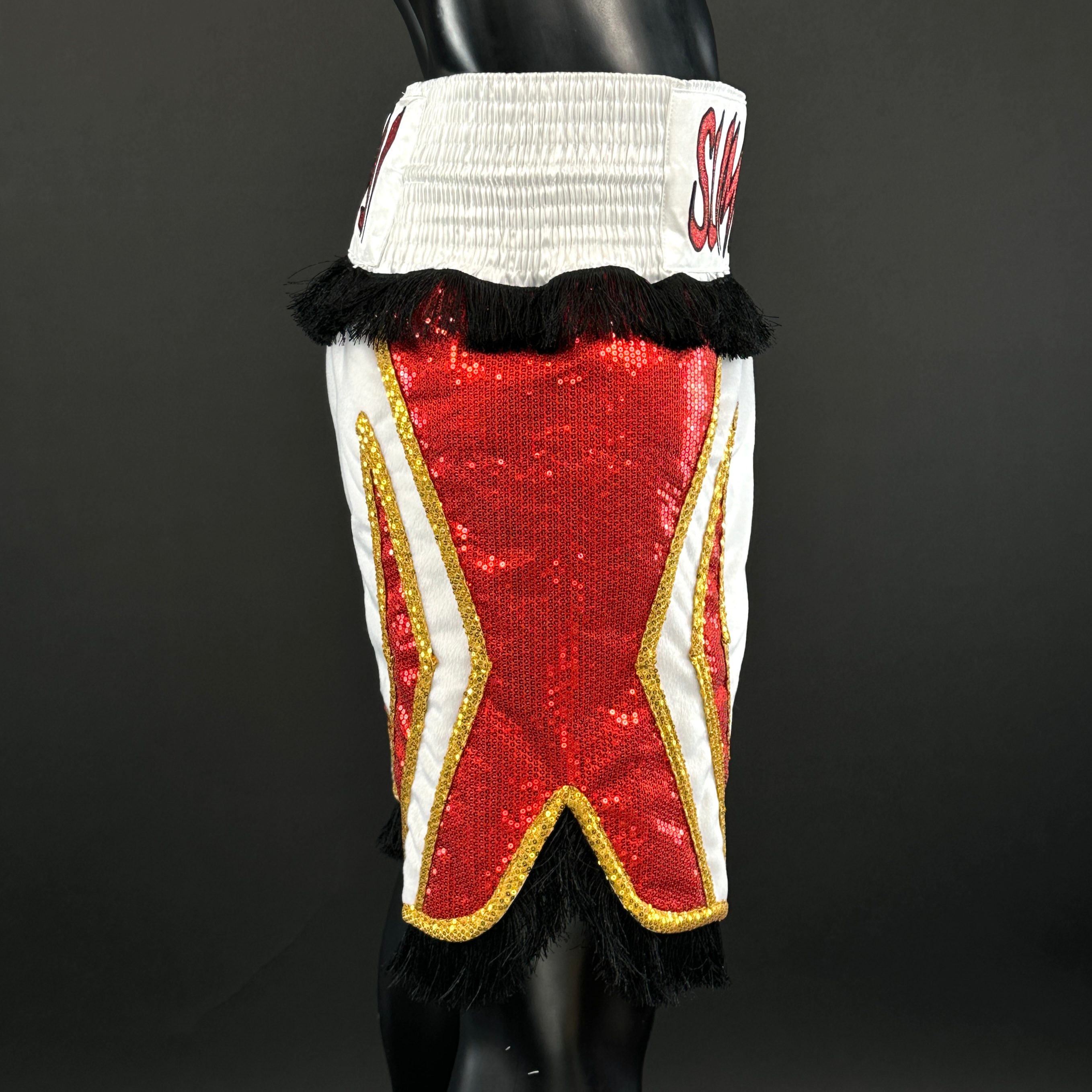 CHAMPION BX Ahmed 173142 Custom Boxing Shorts & Trunks