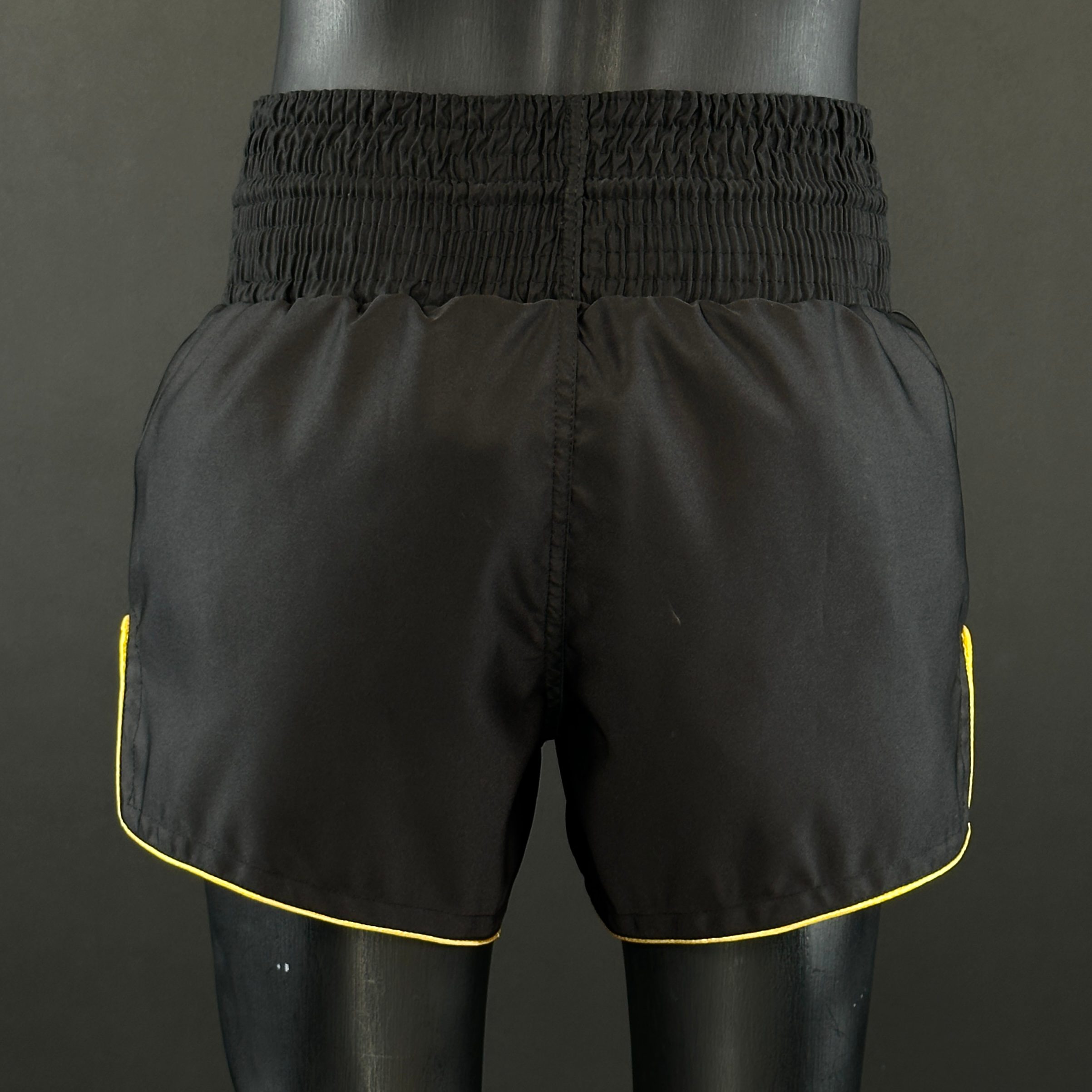 Roy Jones MTS Juan 172525 Muay Thai Shorts