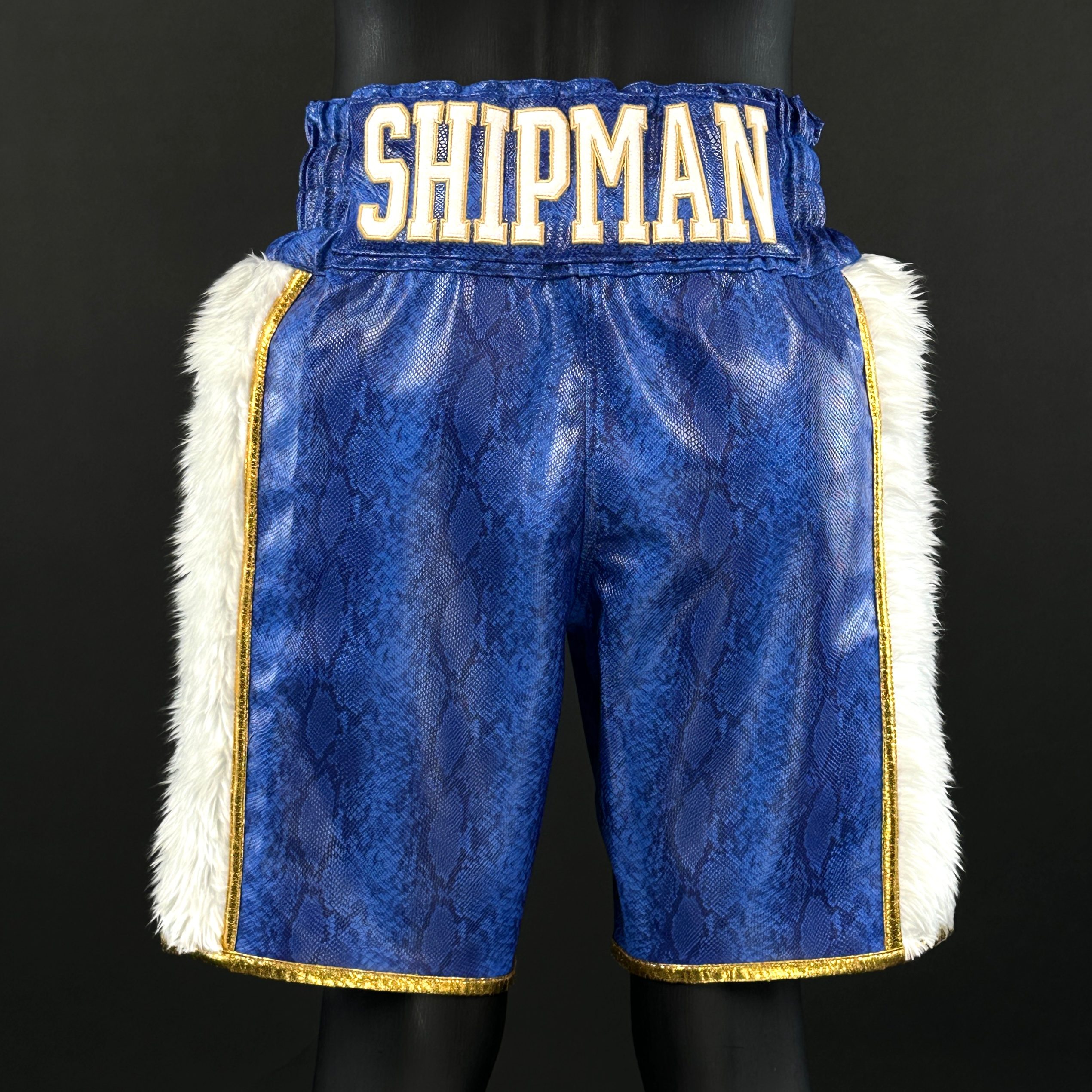 Side Stripe BX  damien 173037 Custom Boxing Shorts & Trunks