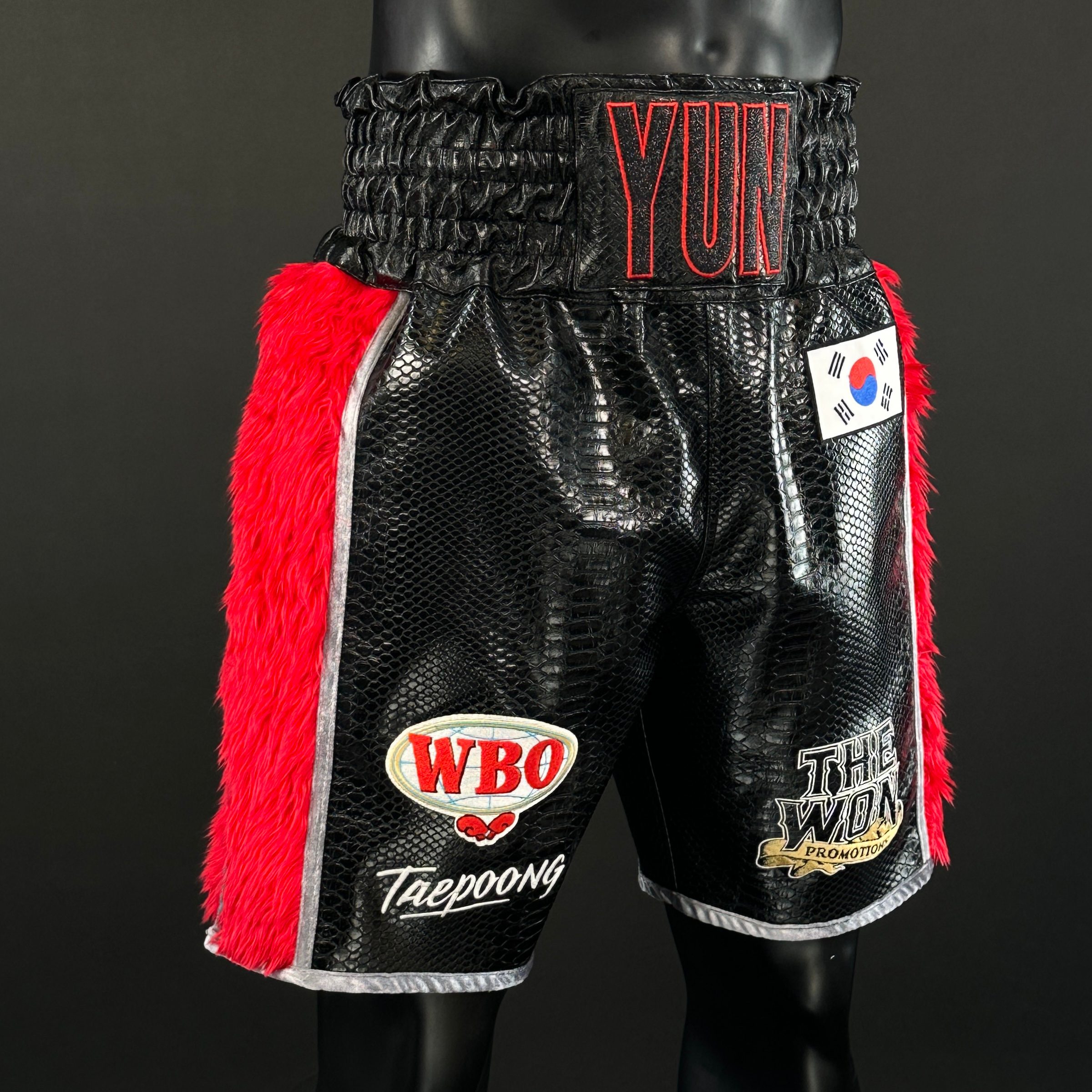 Side Stripe BX Old Juwon 173198 Custom Boxing Shorts & Trunks