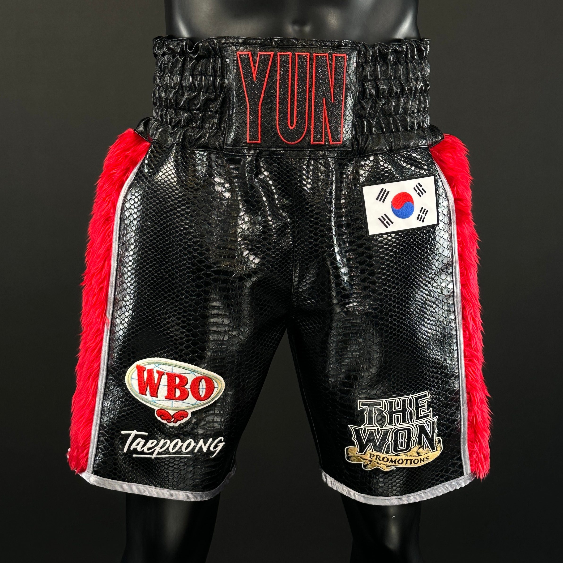 Side Stripe BX  Juwon 173198 Custom Boxing Shorts & Trunks