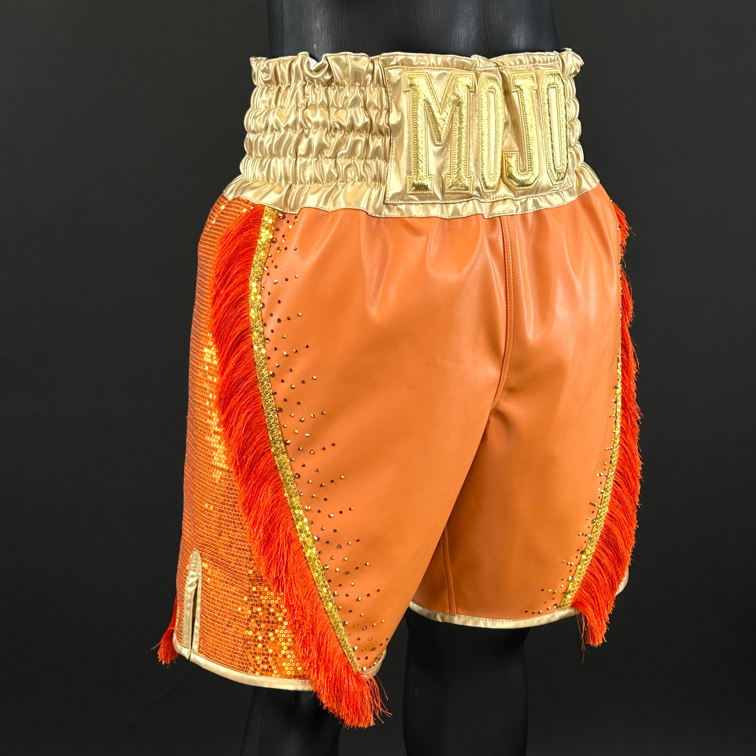 Floyd BX Ahmad 173314 Custom Boxing Shorts & Trunks