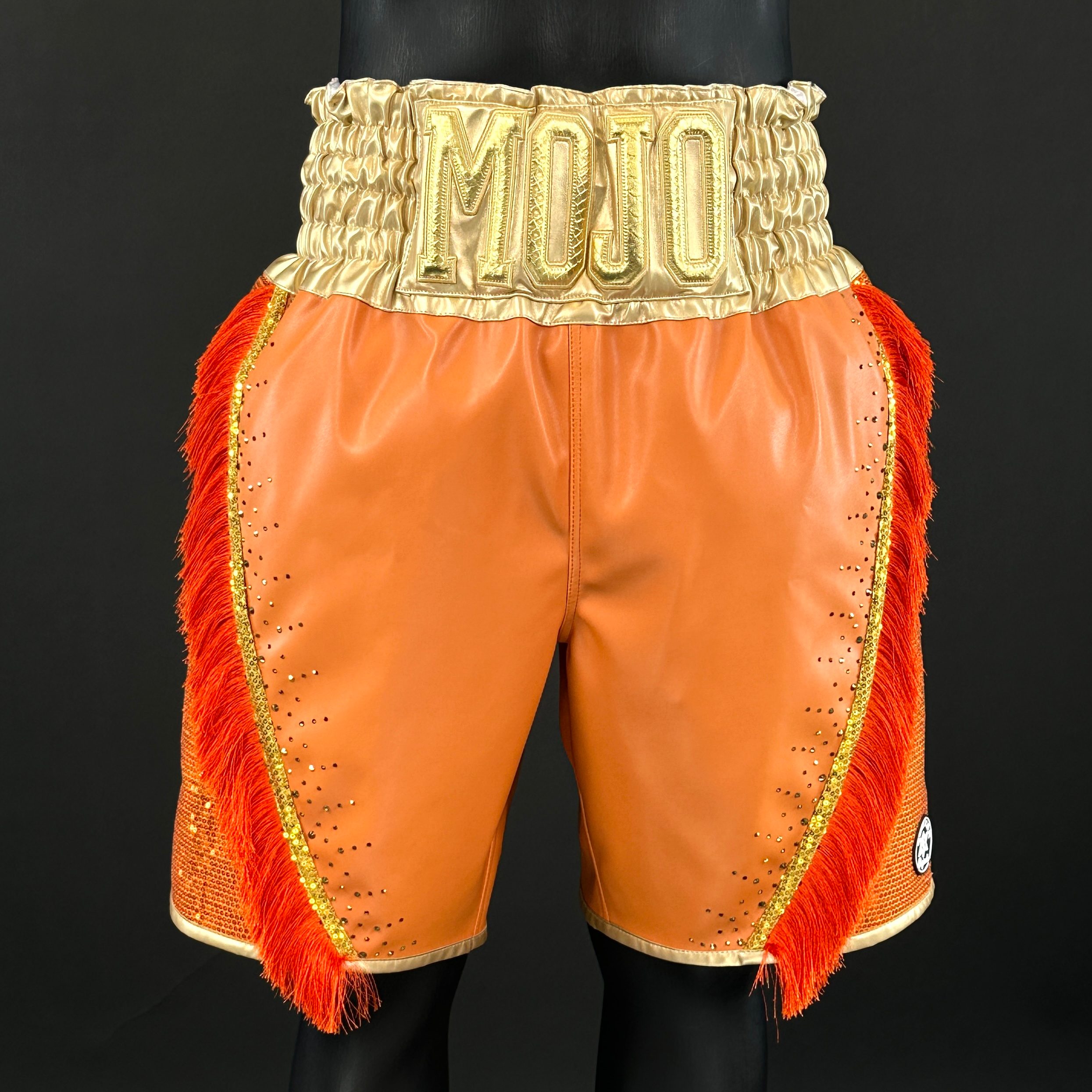 Floyd BX Ahmad 173314 Custom Boxing Shorts & Trunks