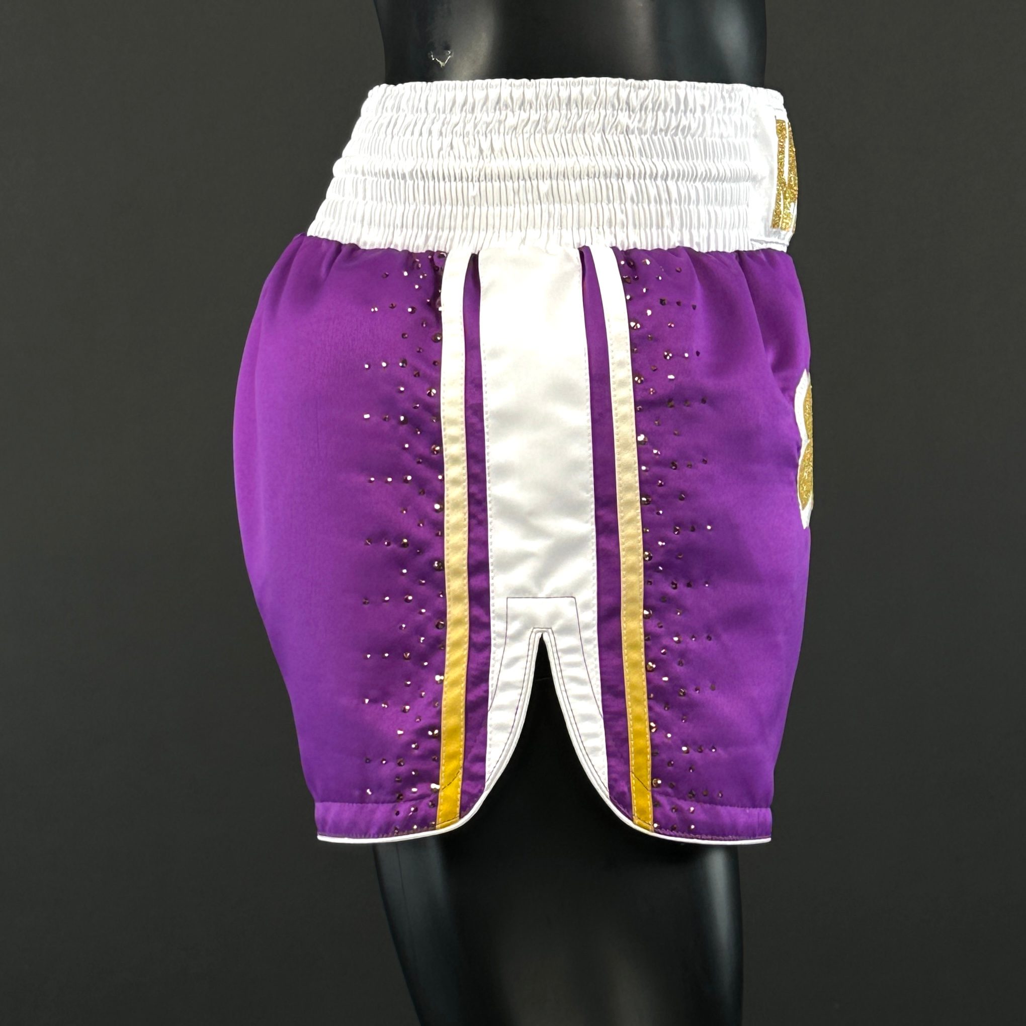 WINNER MTS Tim 173348 Muay Thai Shorts
