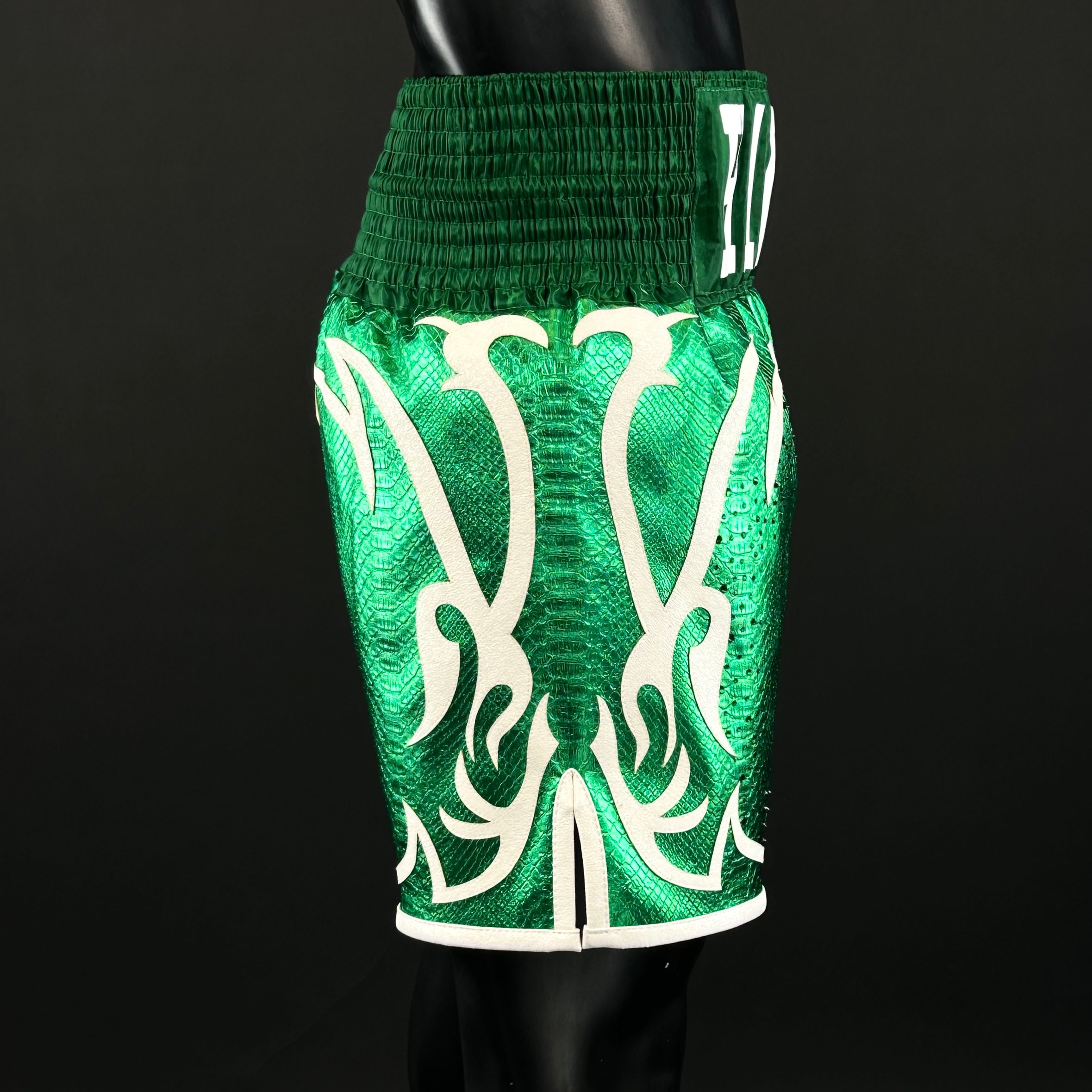 Blaze Stephen 173576 Custom Boxing Shorts & Trunks