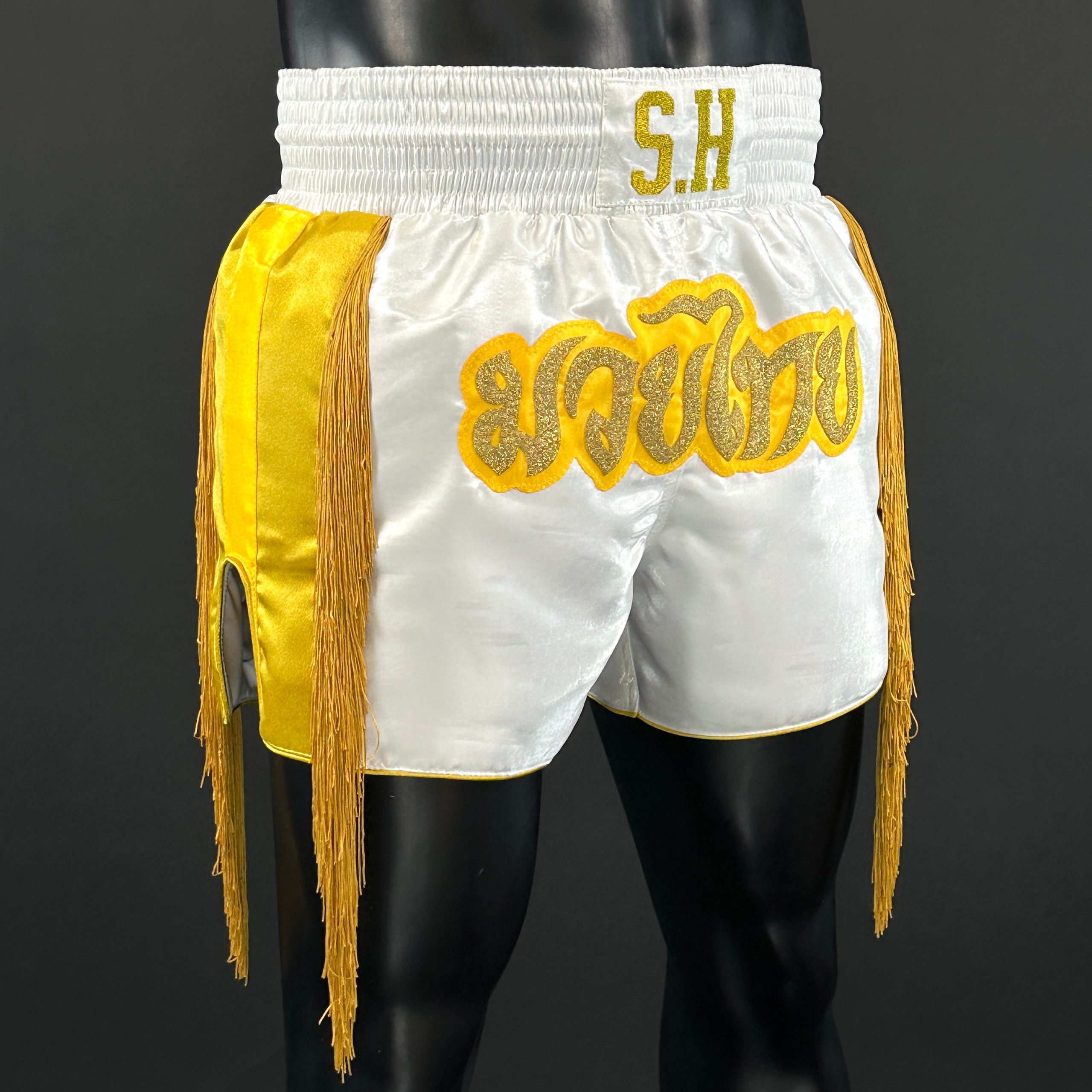 The Gen One MTS Old Shigeru 173319 Muay Thai Shorts