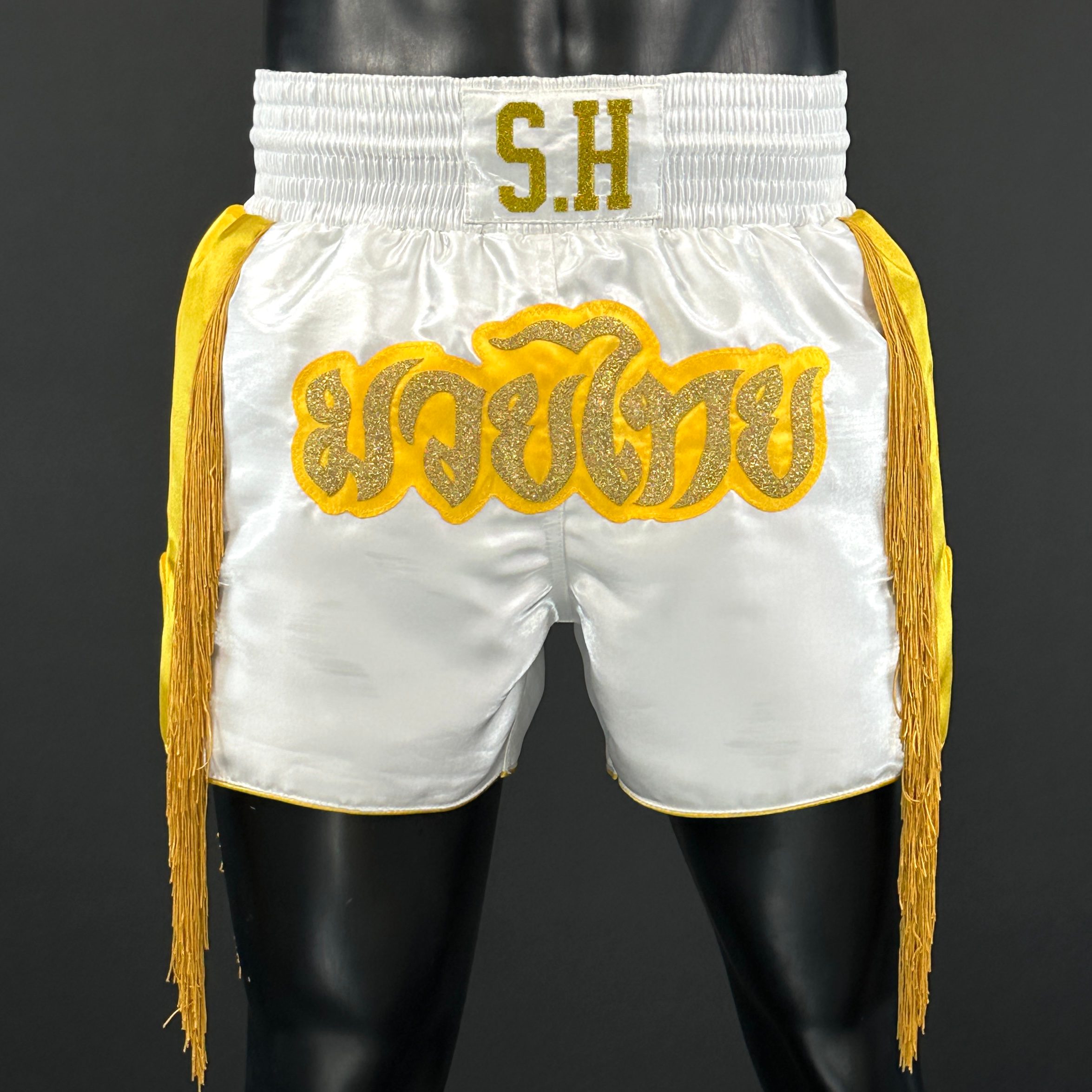 The Gen One MTS Shigeru 173319 Muay Thai Shorts