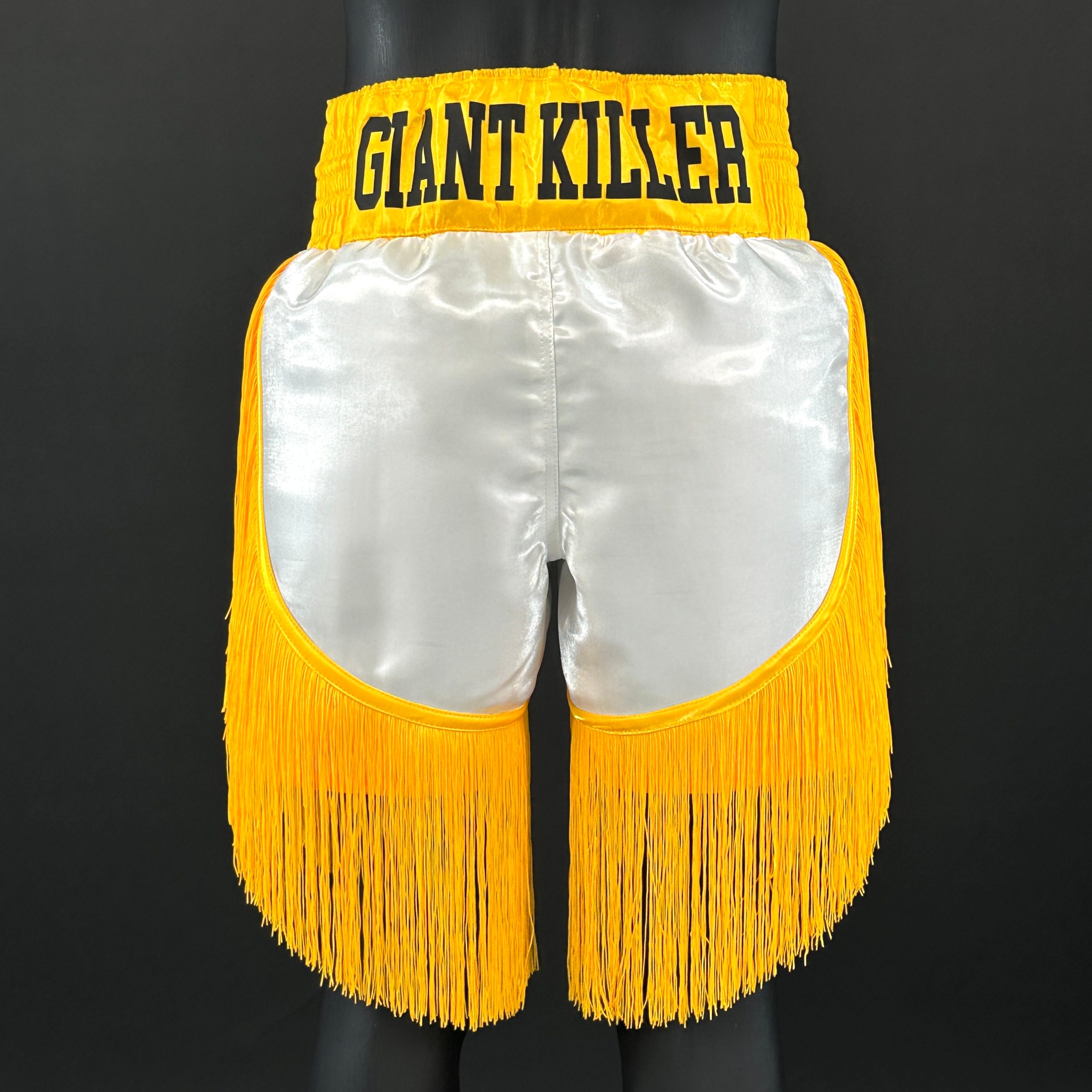 Lorenzo BX Moisés 173623 Custom Boxing Shorts & Trunks