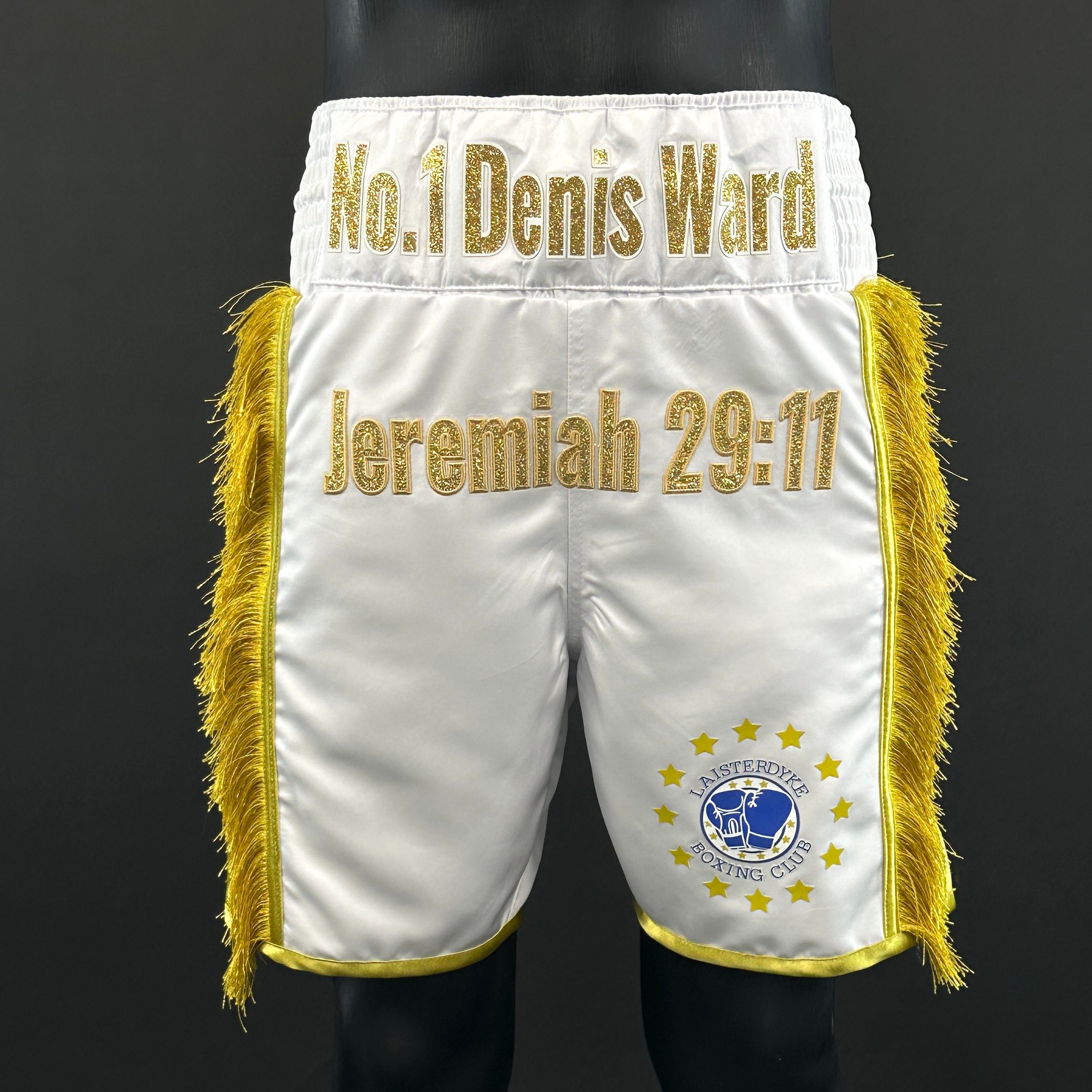 Thor BX Danny 175289 Custom Boxing Shorts & Trunks