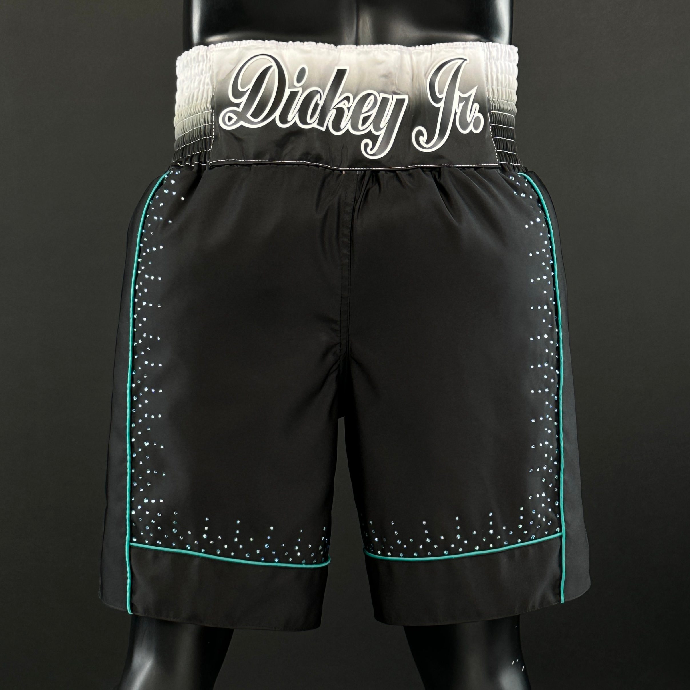 Panel Long Tassels BX Curtis 172750 Custom Boxing Shorts & Trunks