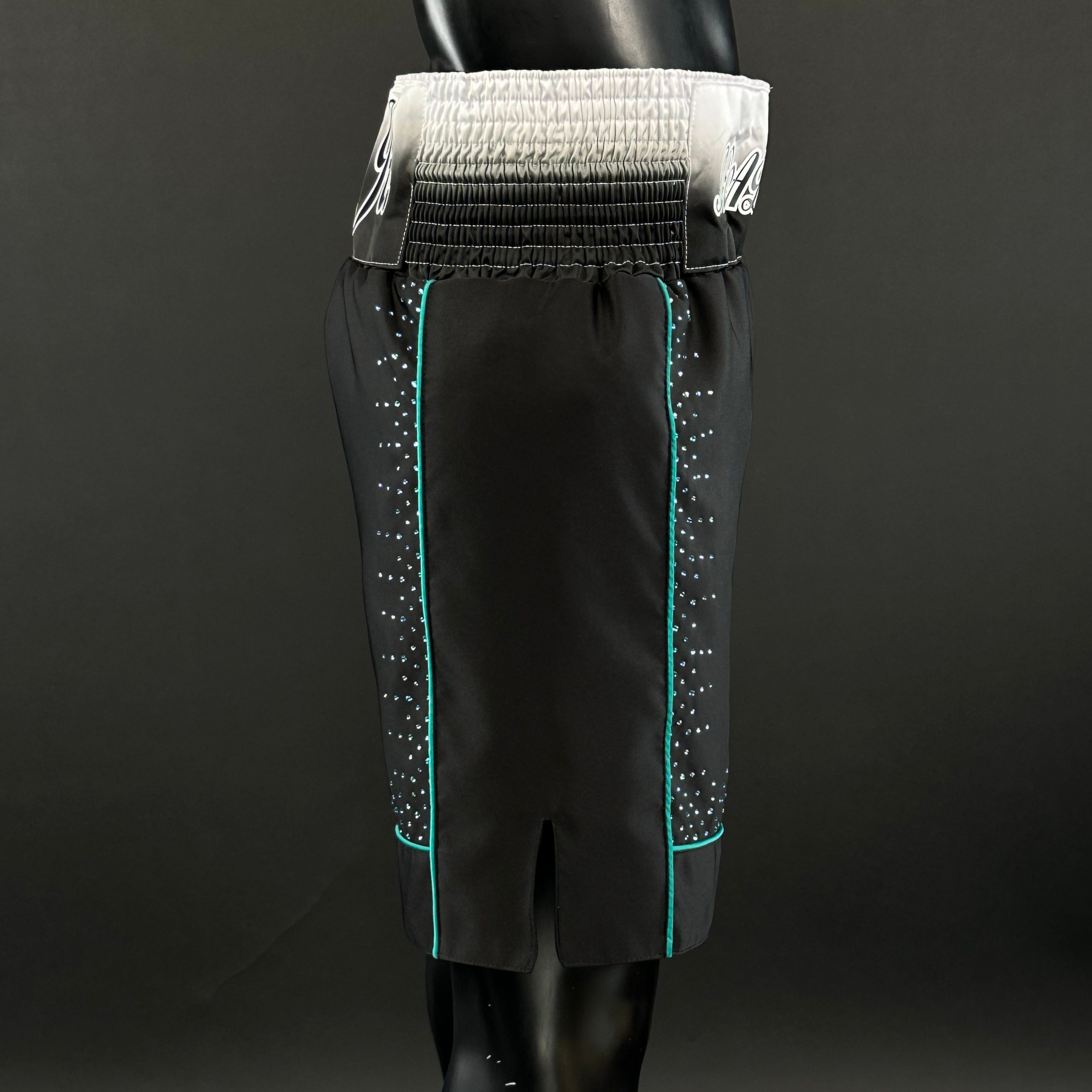 Panel Long Tassels BX Curtis 172750 Custom Boxing Shorts & Trunks