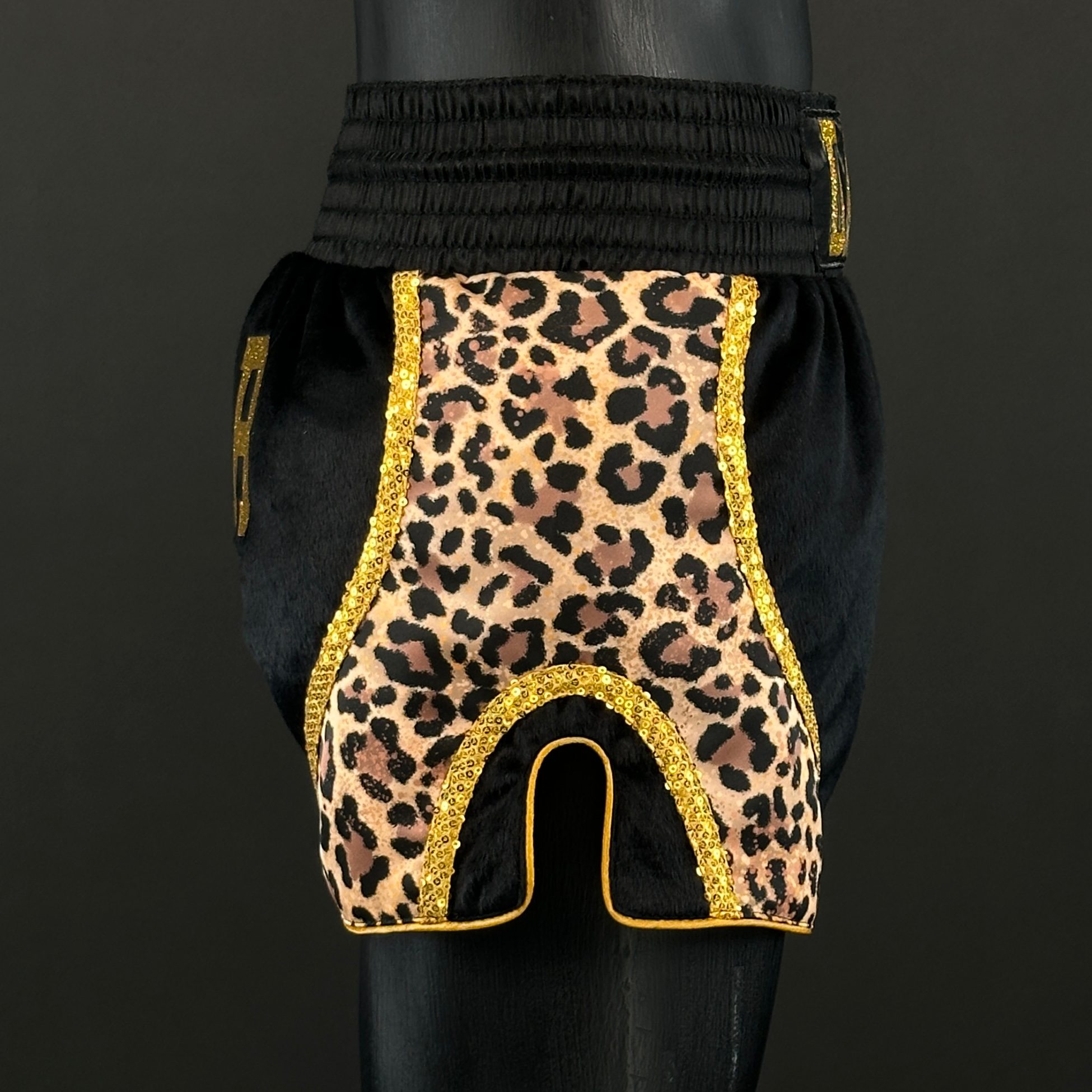 DREAM MTS Diane 171344 Muay Thai Shorts