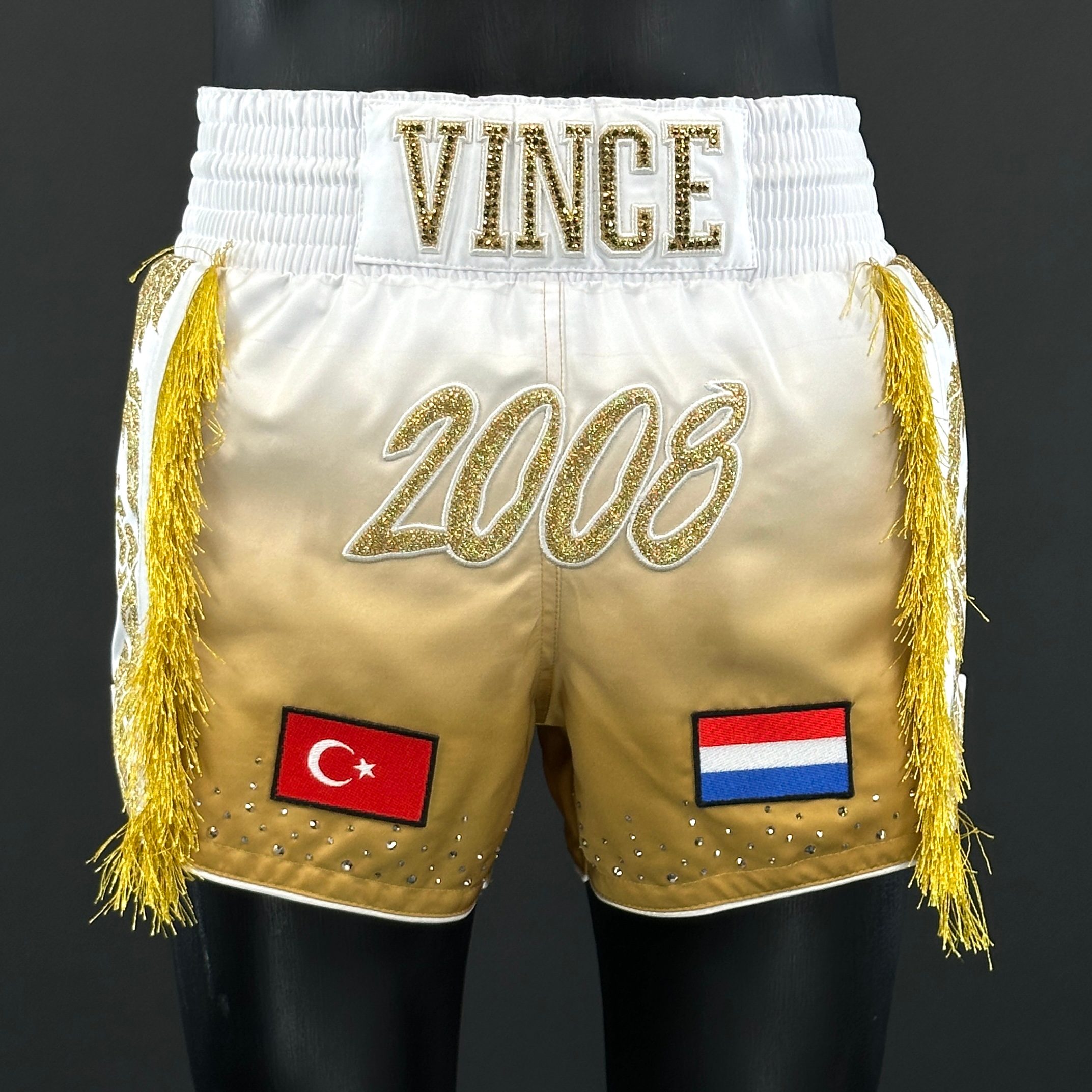 One Champ MTS Mehmet 174561 Muay Thai Shorts