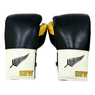 Gloves Laced / Flat 173579 Spencer Boxing Gloves