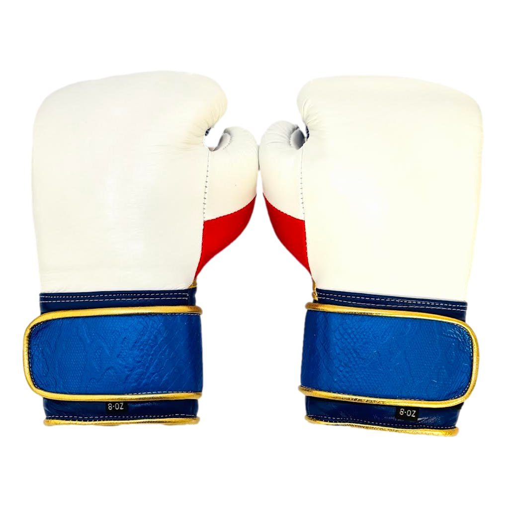 Gloves Classics 171803 Joel Boxing Gloves