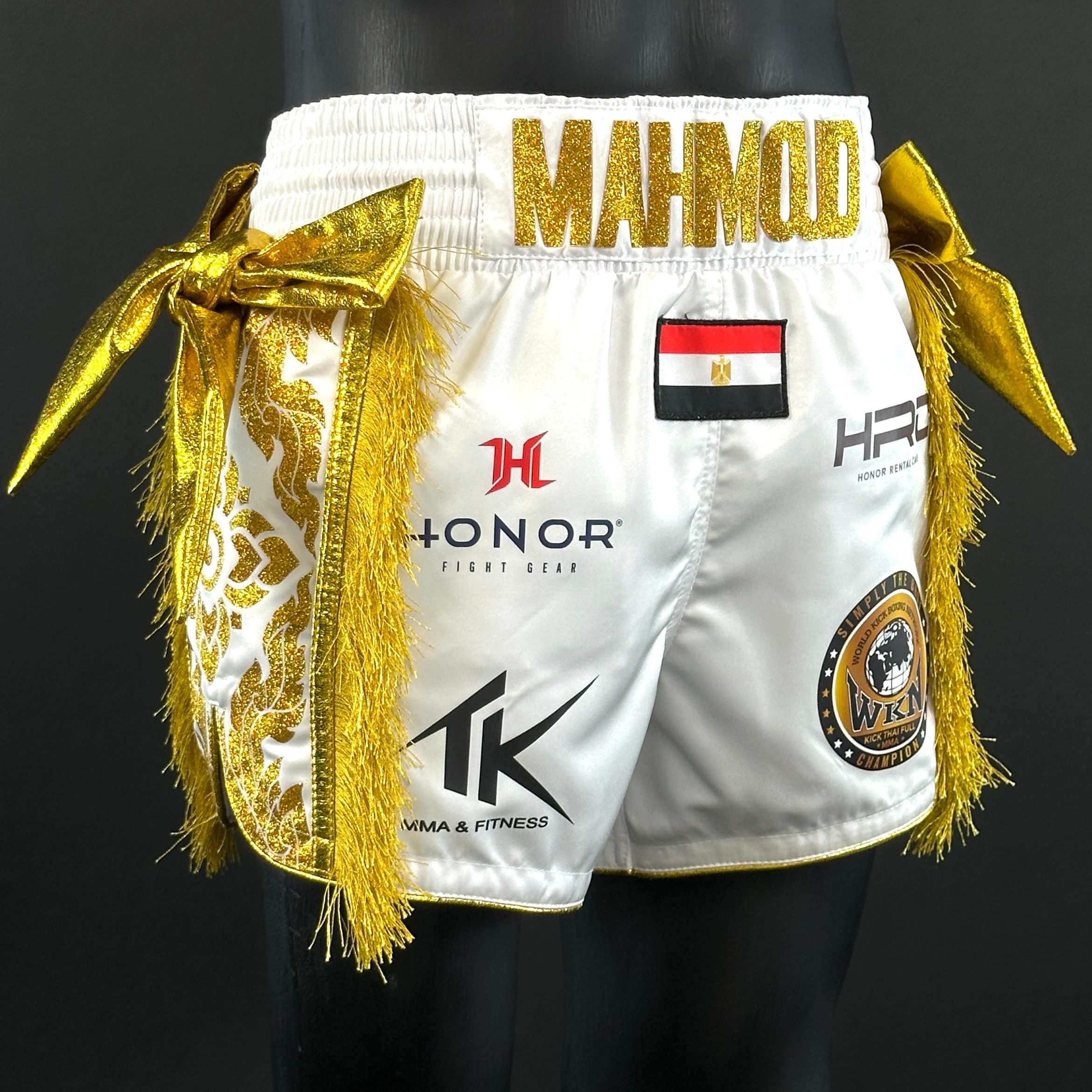 One Champ MTS mahmoud 174927 Muay Thai Shorts