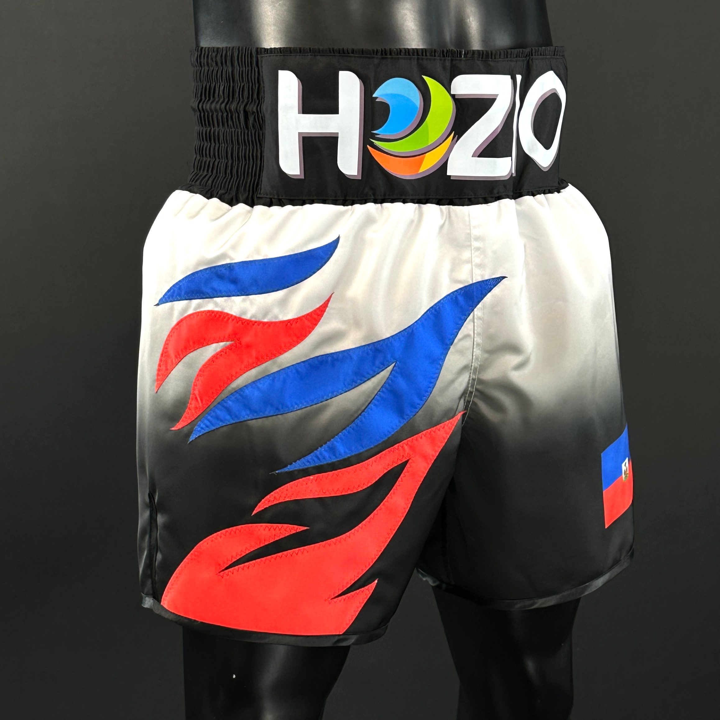 Roy Jones BX Michael 176014 Custom Boxing Shorts & Trunks