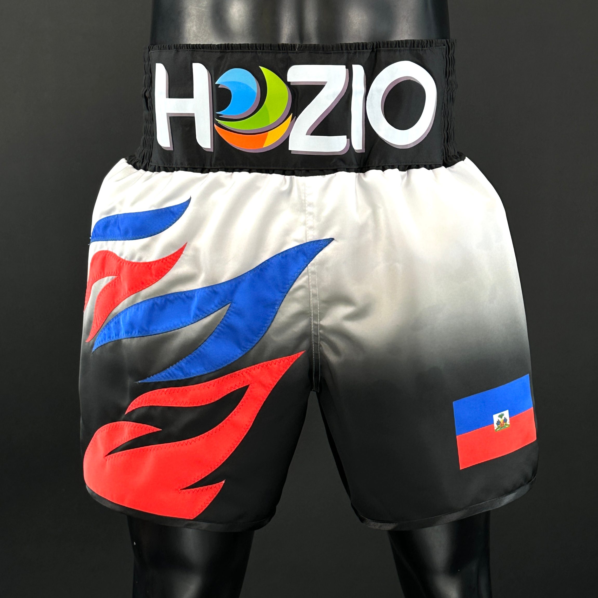 Roy Jones BX Michael 176014 Custom Boxing Shorts & Trunks