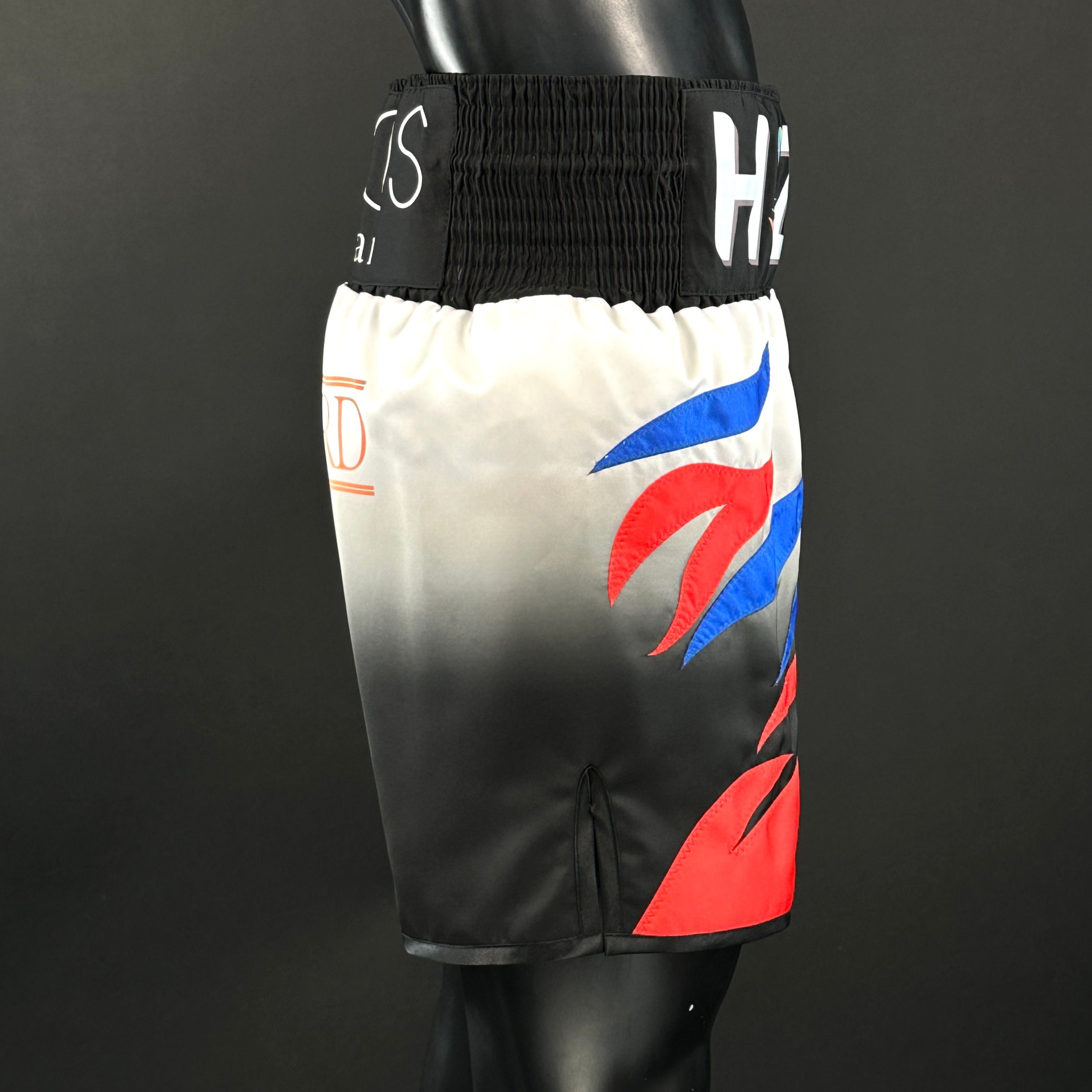 Roy Jones BX Michael 176014 Custom Boxing Shorts & Trunks